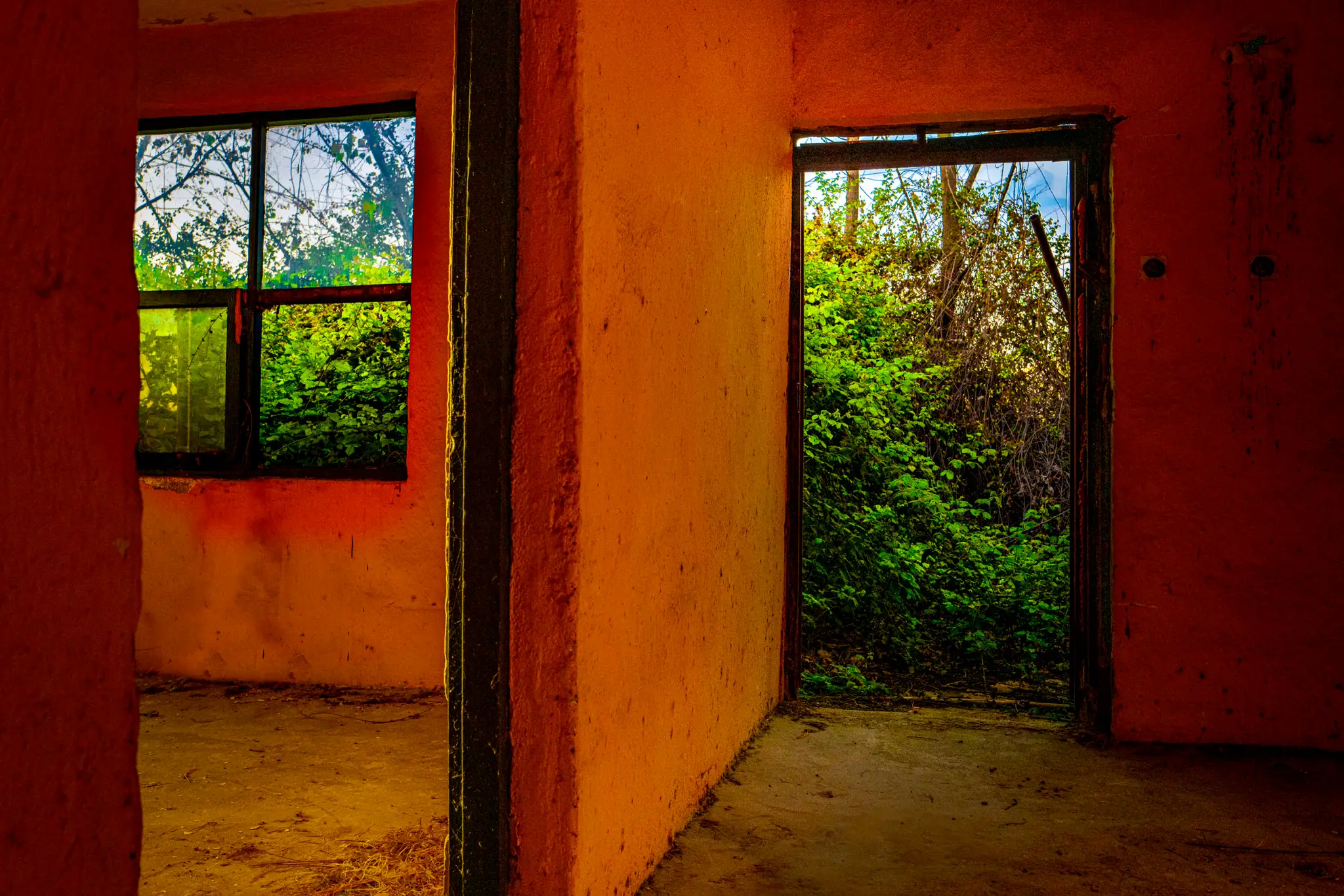 Jason Shepherd Personal Training