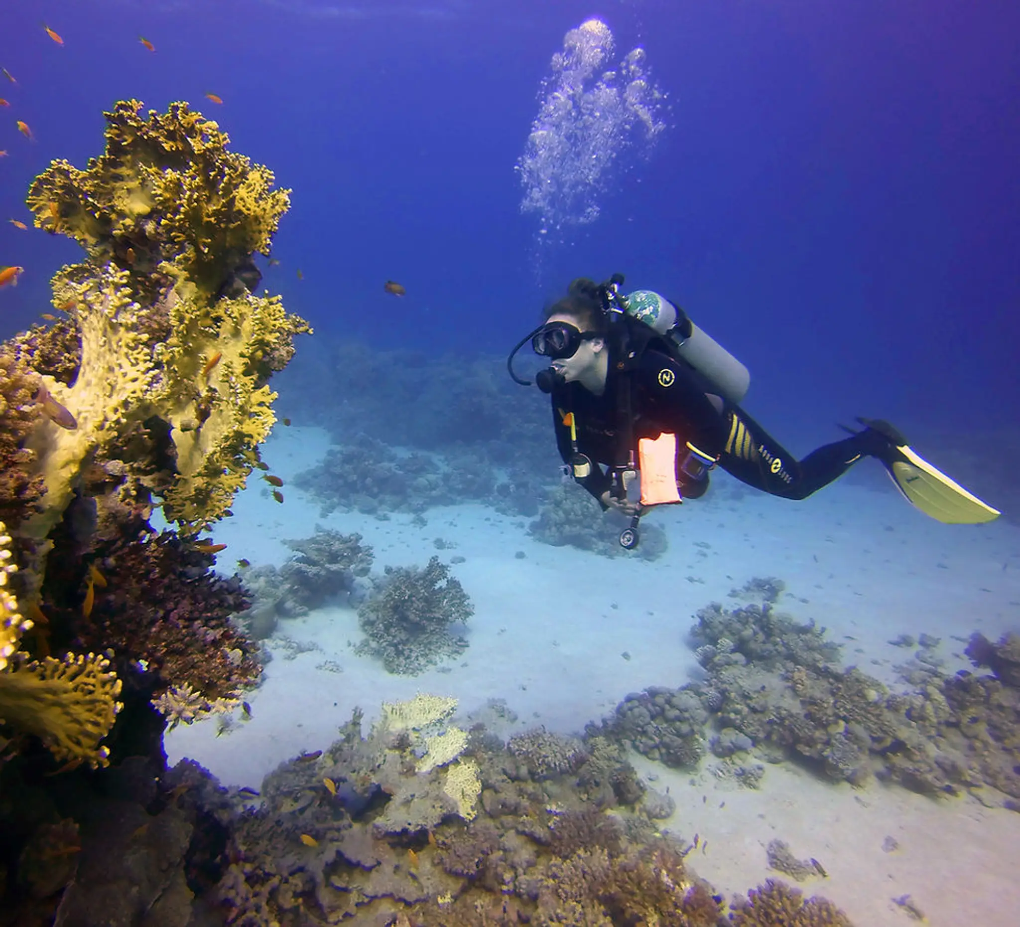 Learn Scuba Diving London