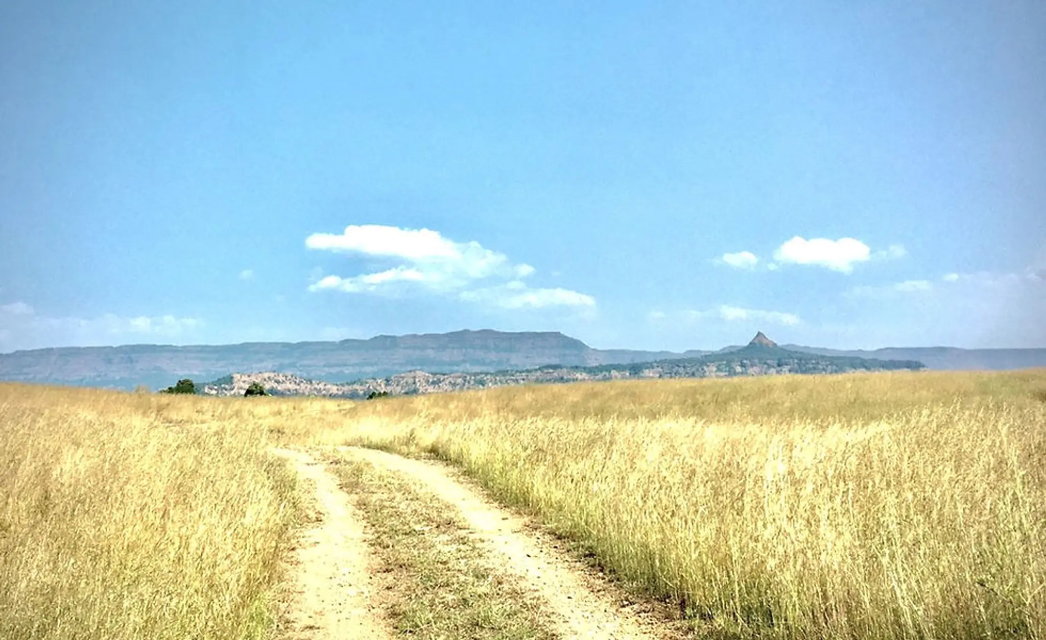 Savli Farm's Nature Retreat and Adventures