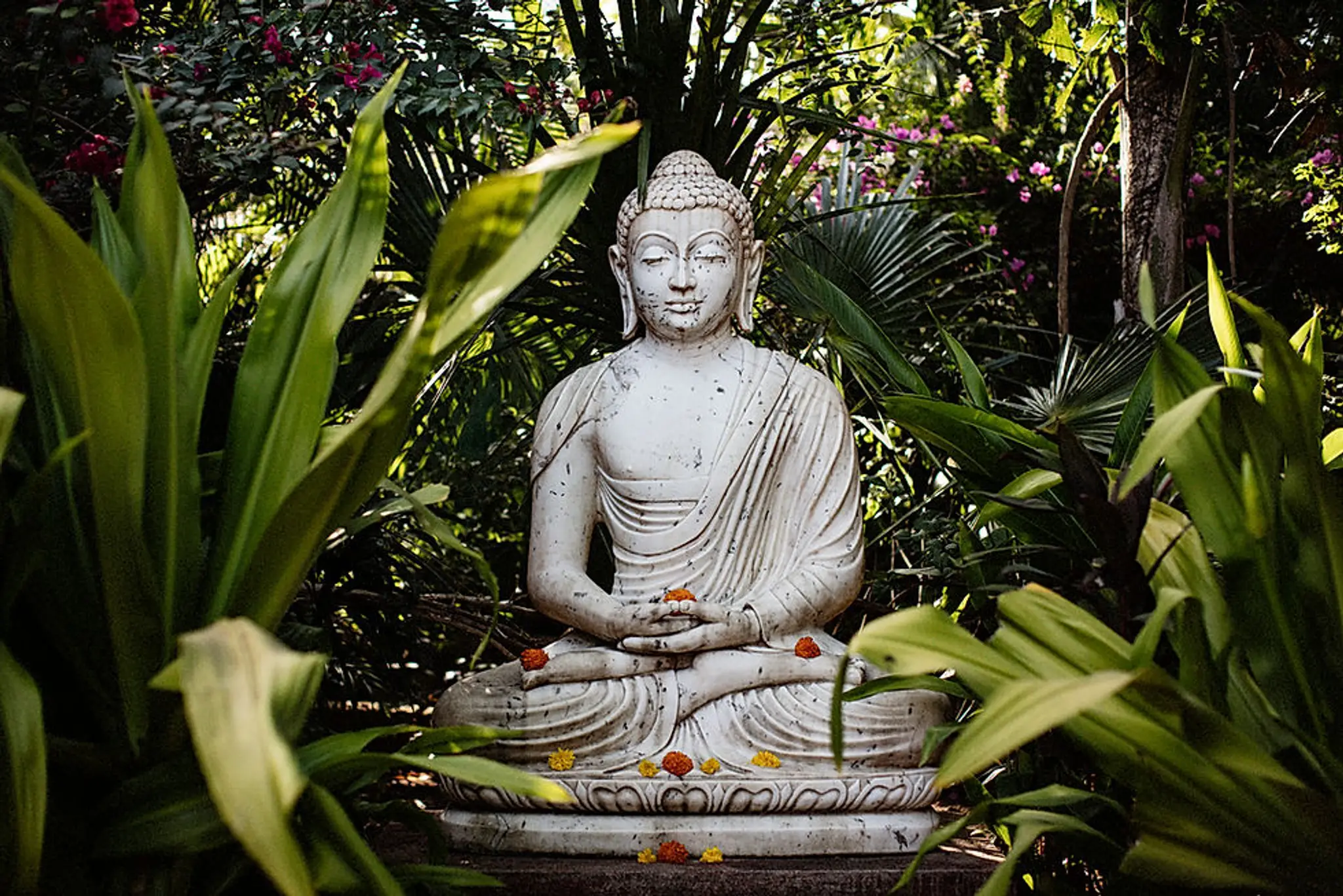 Satsanga Retreat
