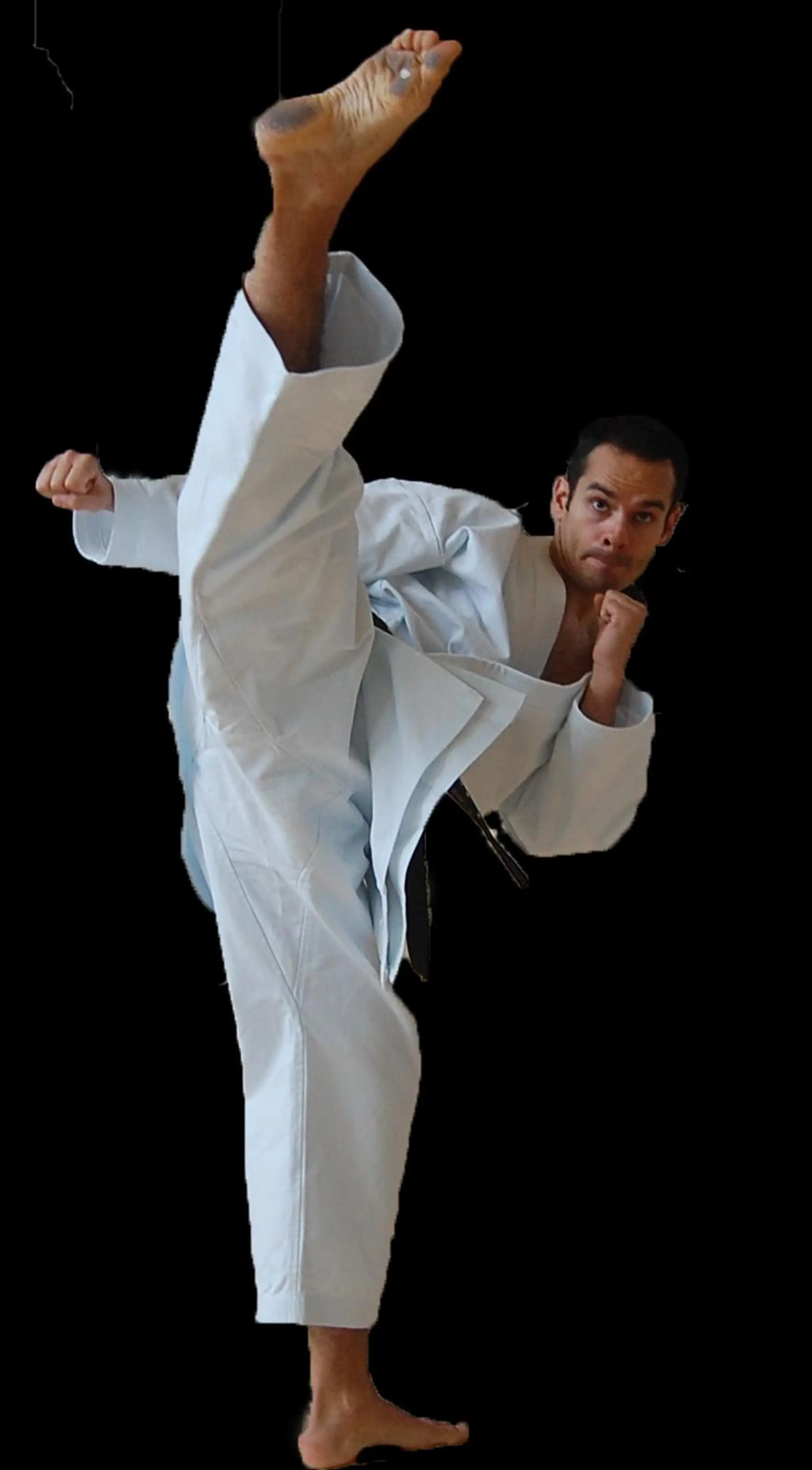 School Of Karate Do Parisienne