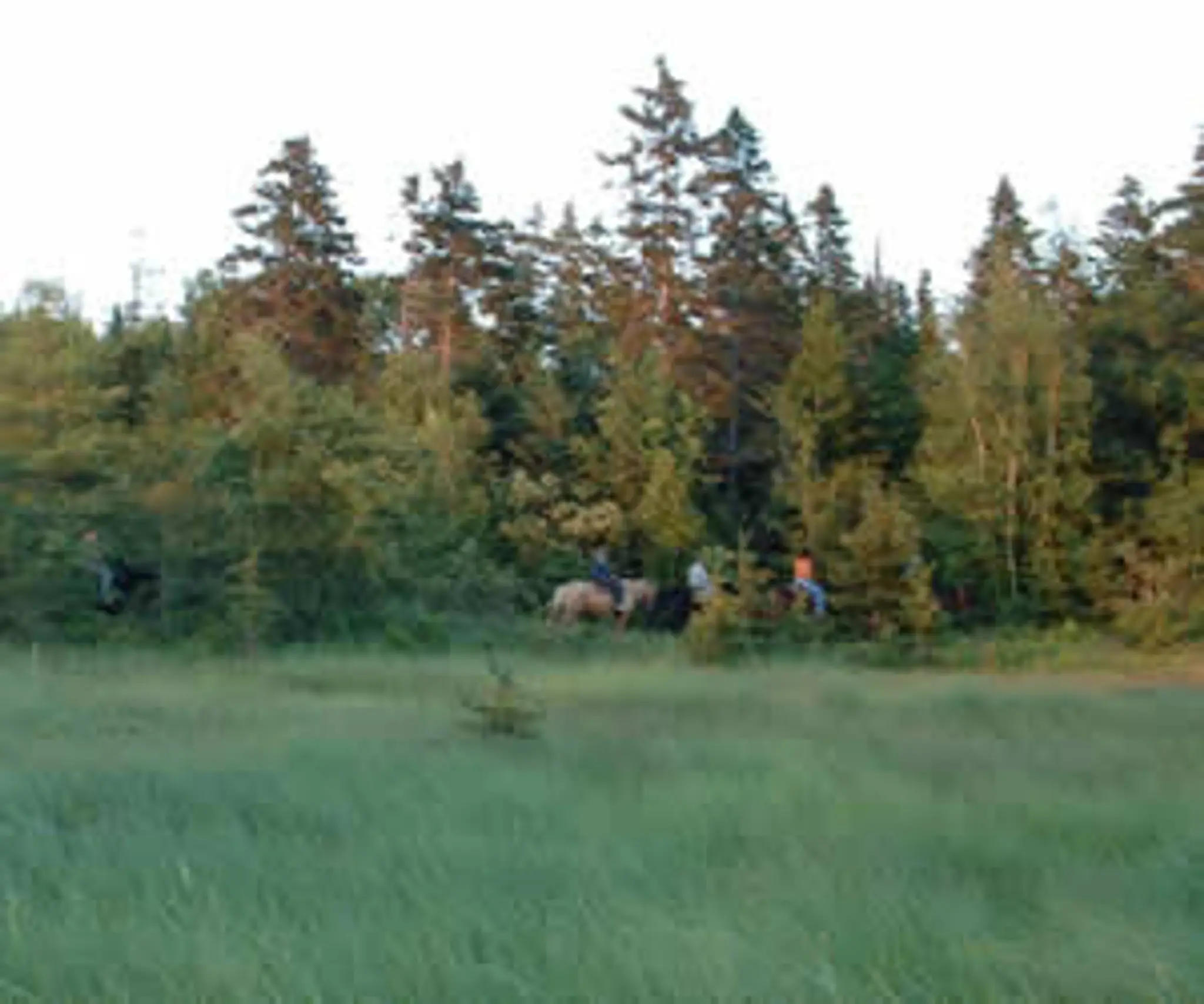 BRUDENELL RIDING STABLES