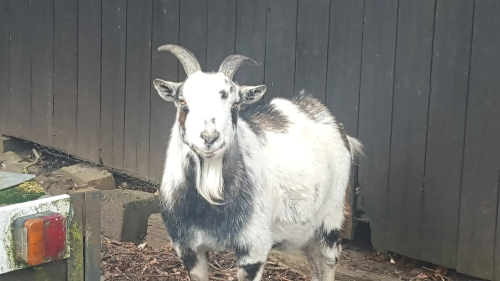 William Segar Hodgson Playing Fields