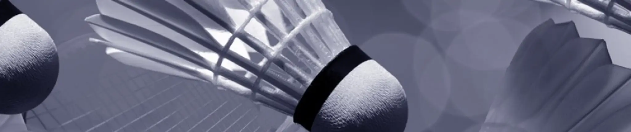 Club Badminton, Les as du volant