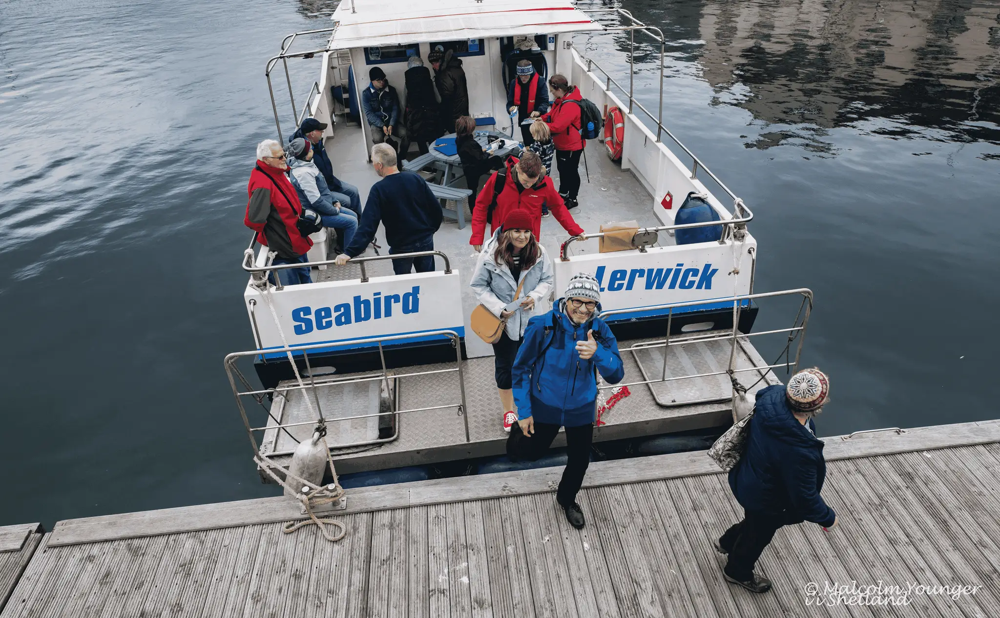 Seabirds-and-Seals - THE ORIGINAL & NO.1 NOSS BOAT TOURS