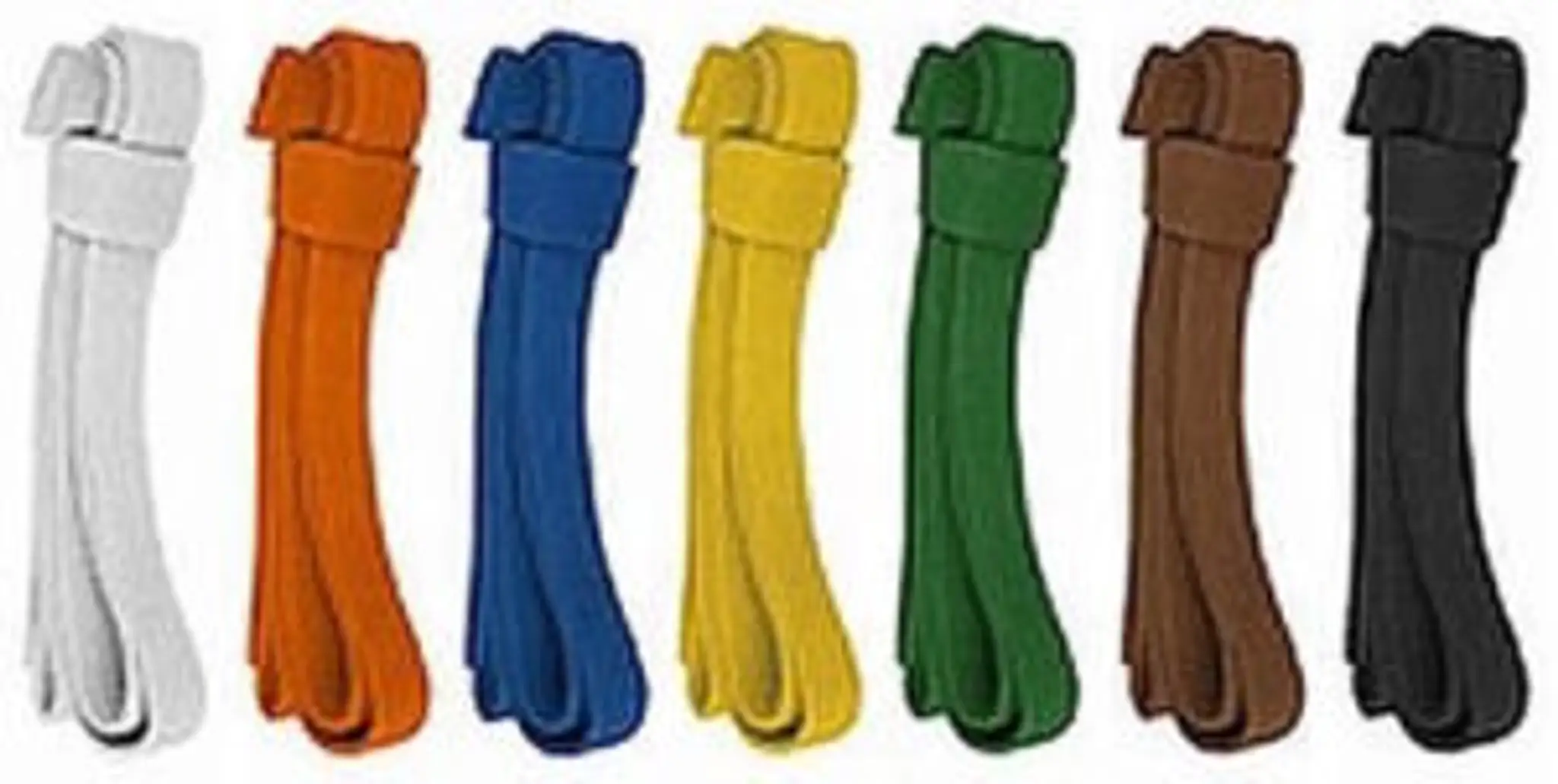 Kyokushin Bushido Karate