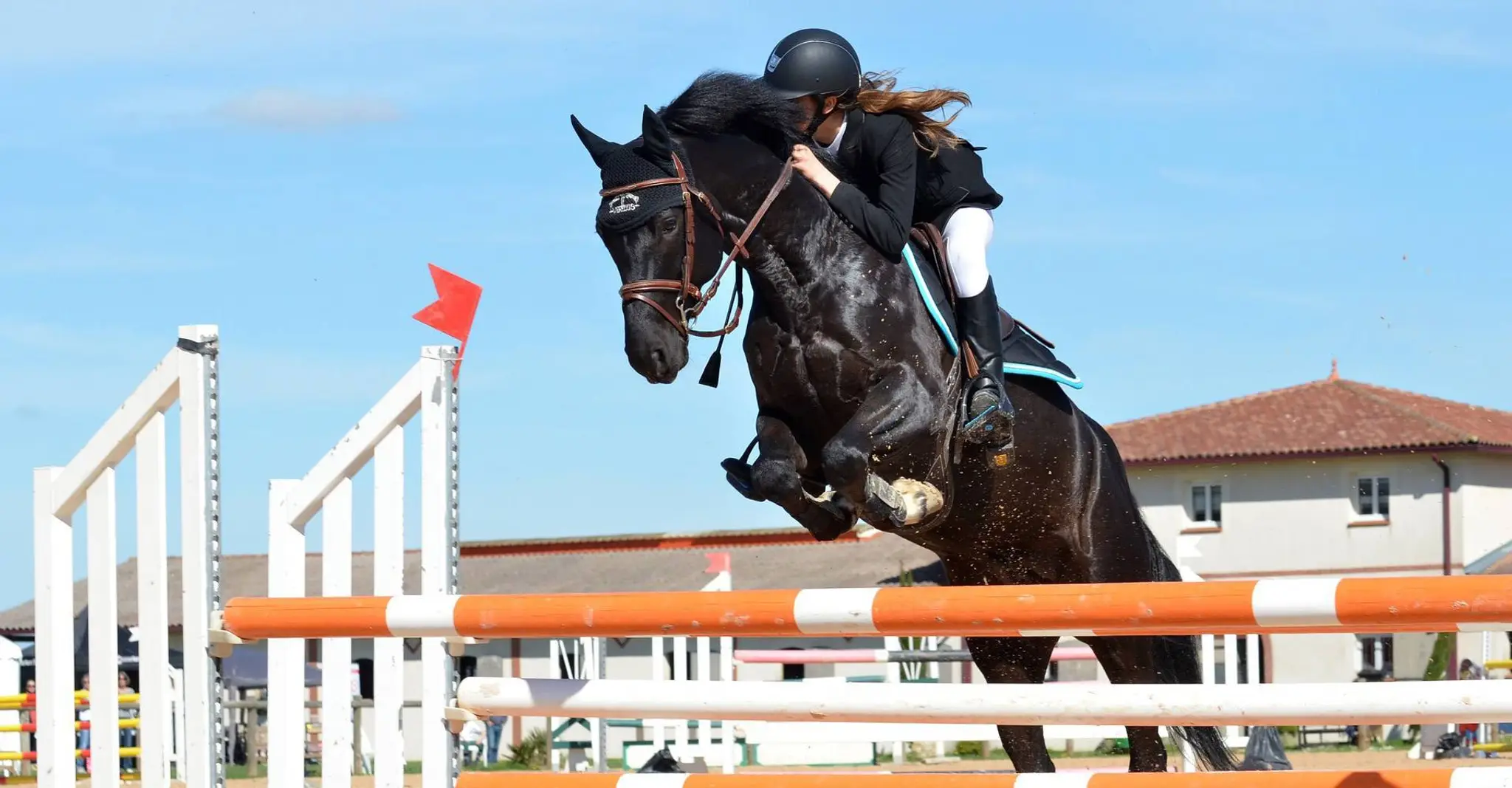 Saumur Horse Ball Europe