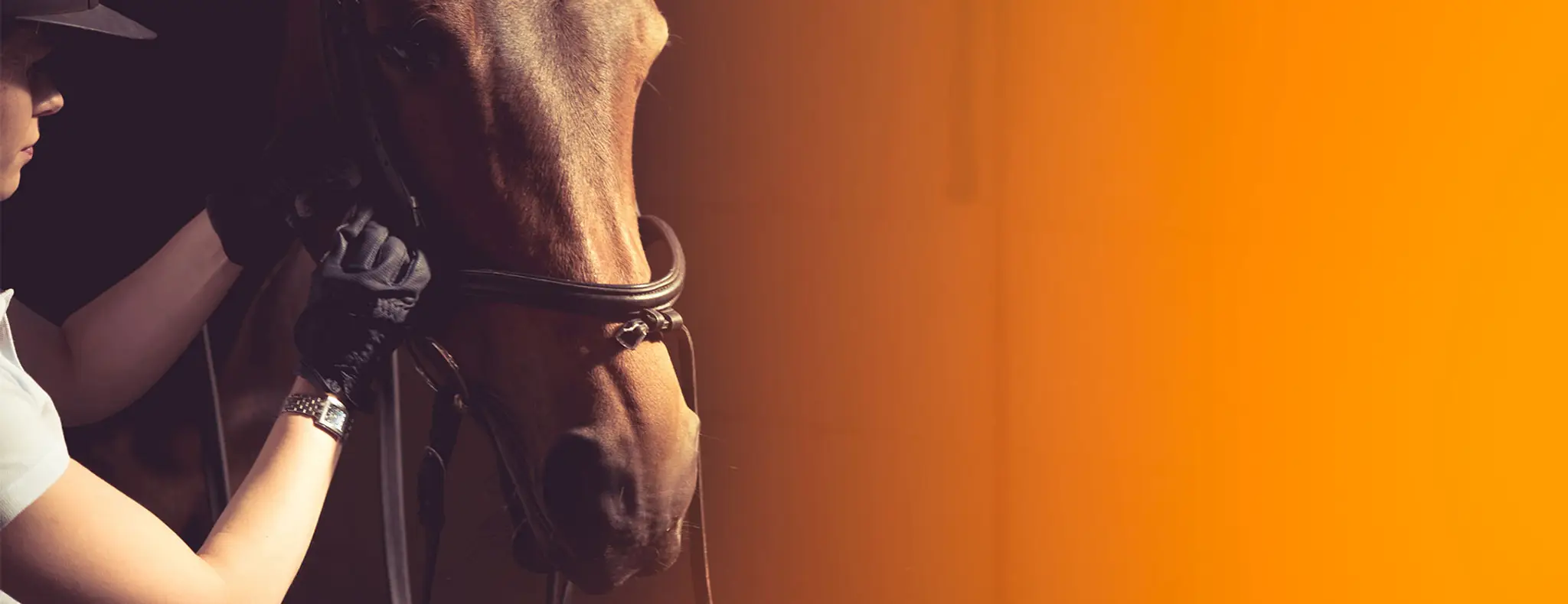 Croft Farm Riding Centre