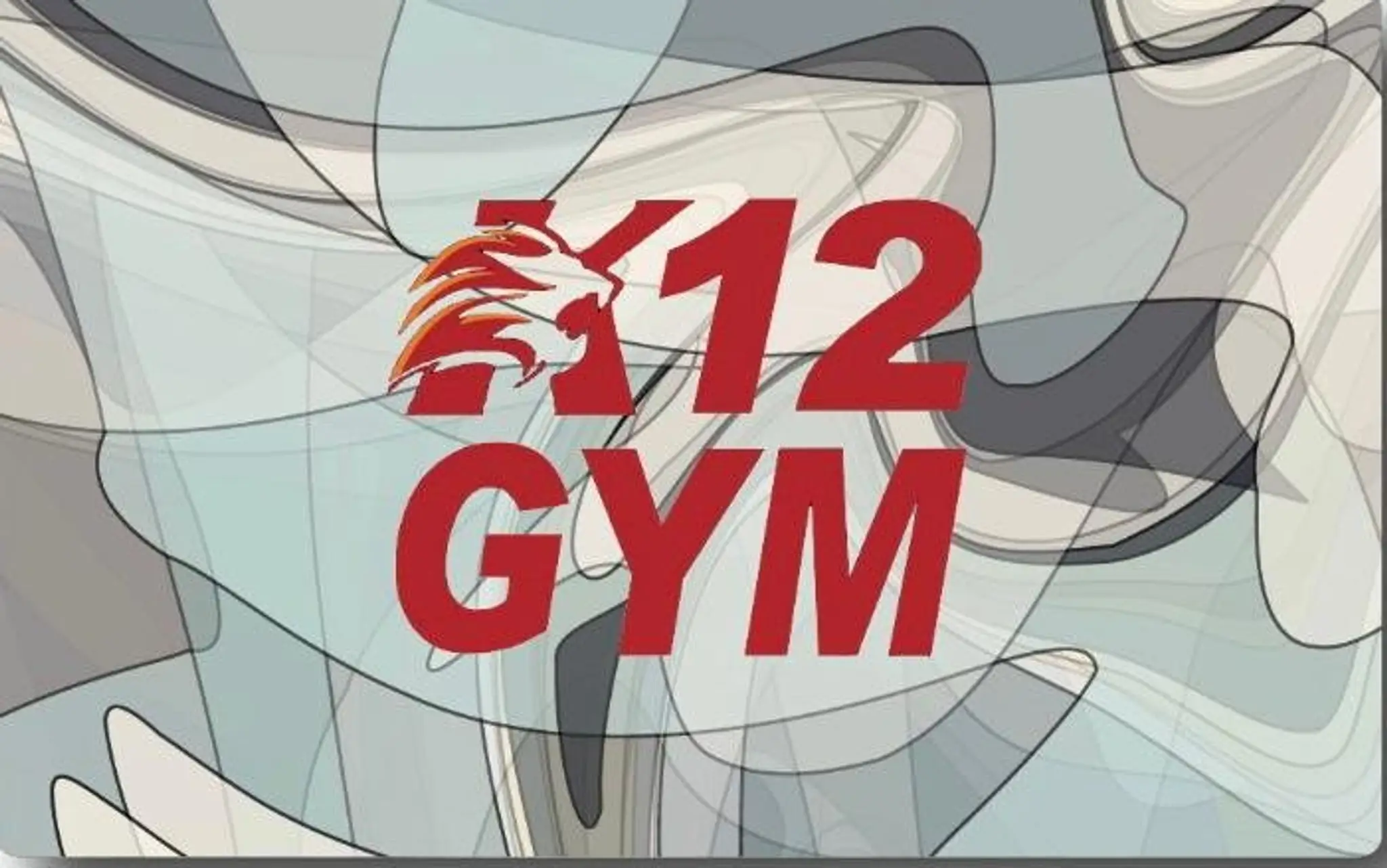 k12 Gym Fitness