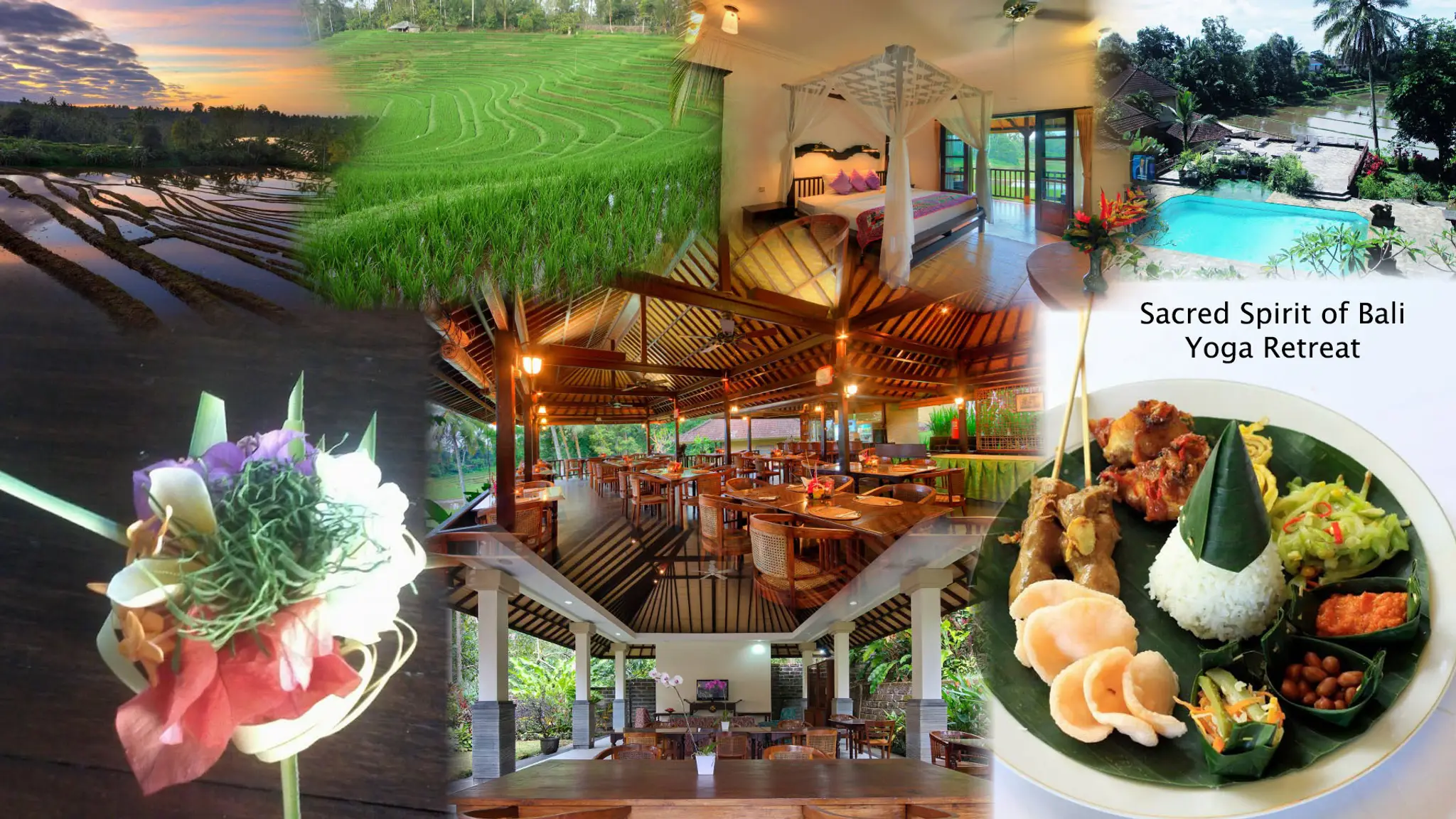 MEREDITH STARCK YOGA