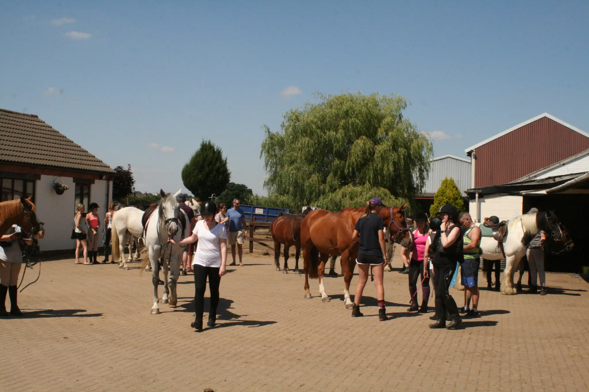 Willow Farm Equestrian Centre