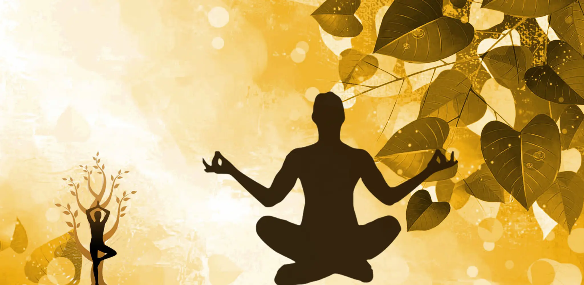 Prakriti Vedic Spa