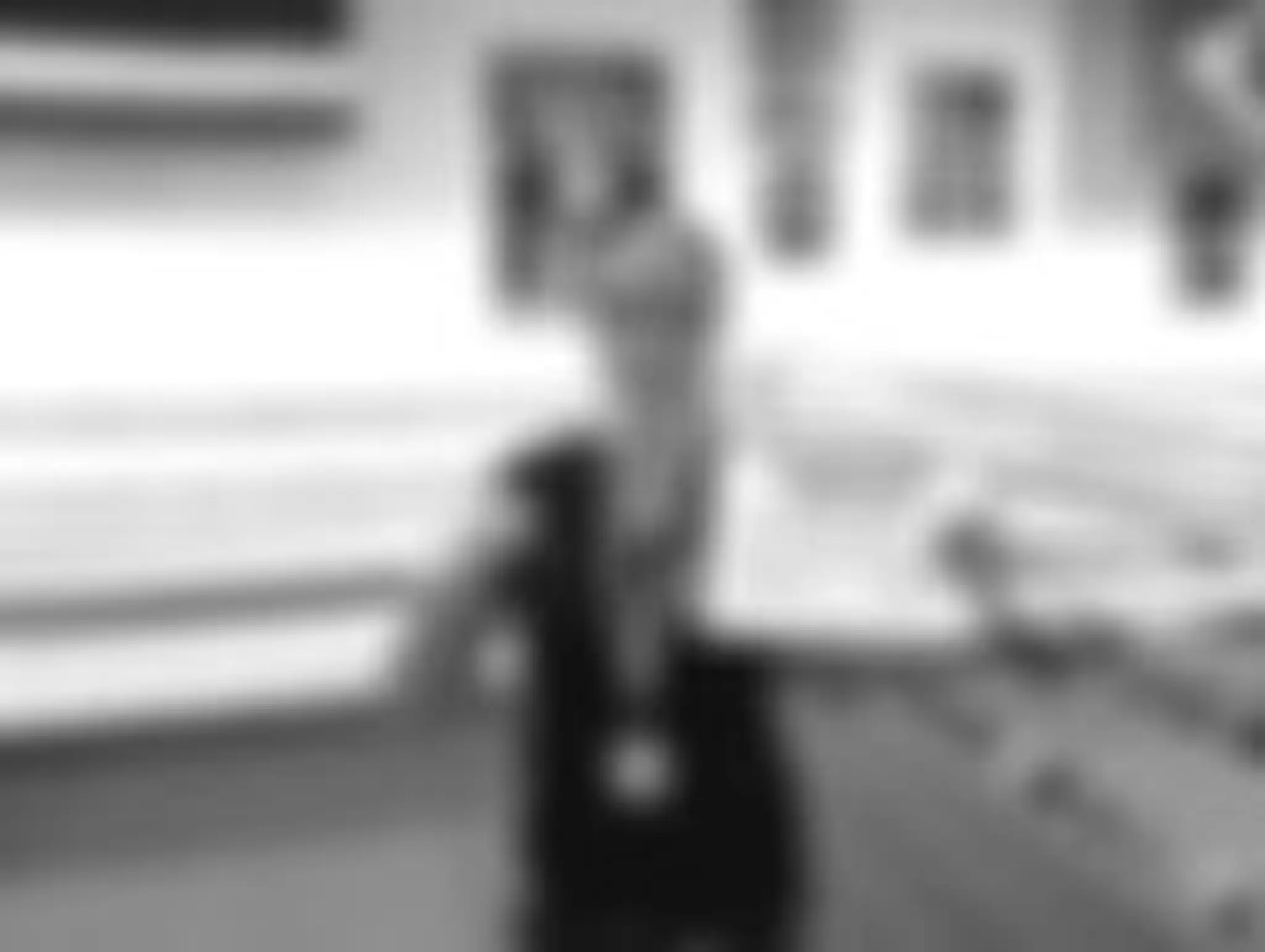 Fight Spirit Academy