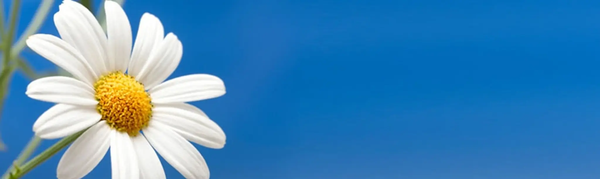 Reiki & Reiki Drum Sessions and Classes