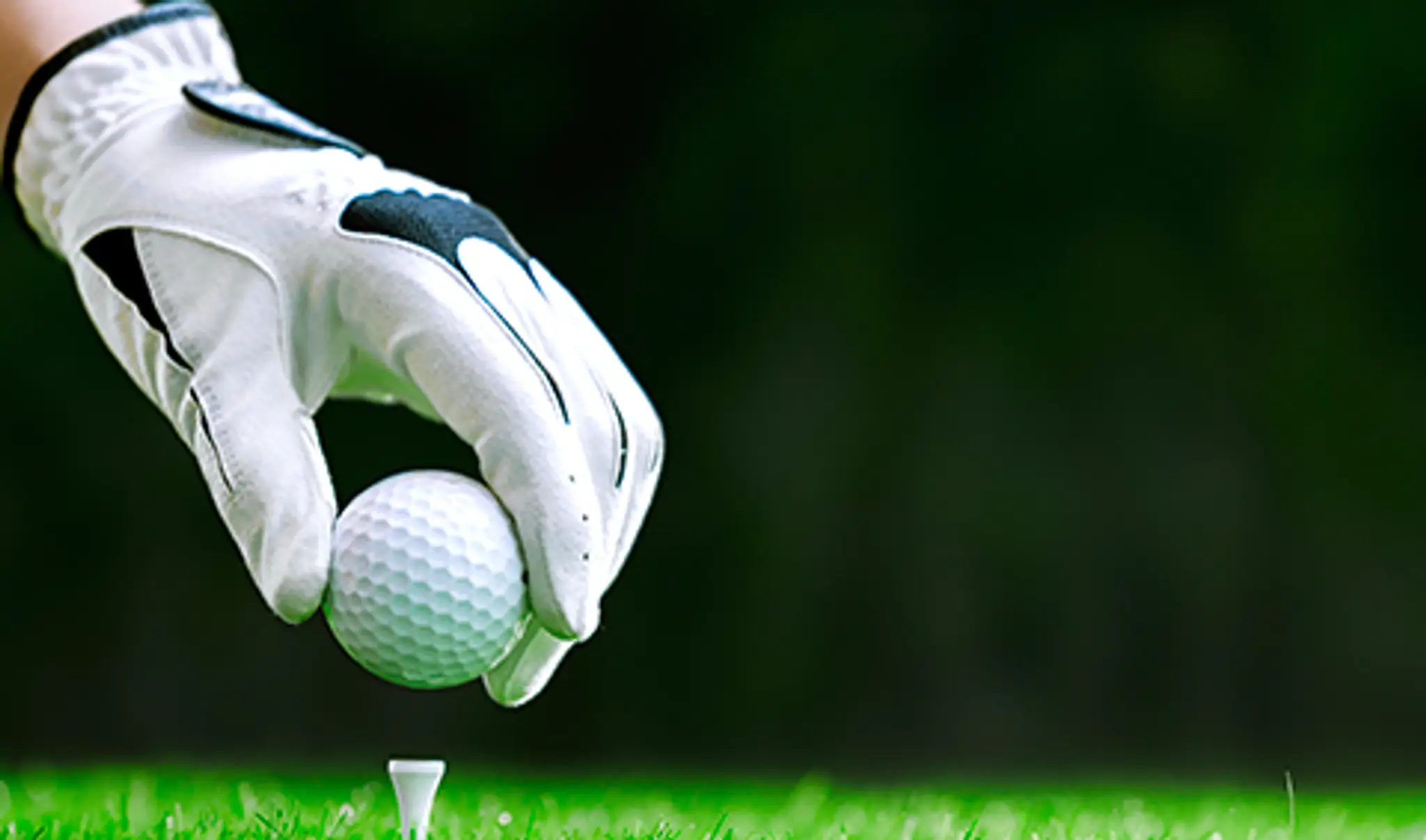 Woodlot City Hall - Golf Practice Areas