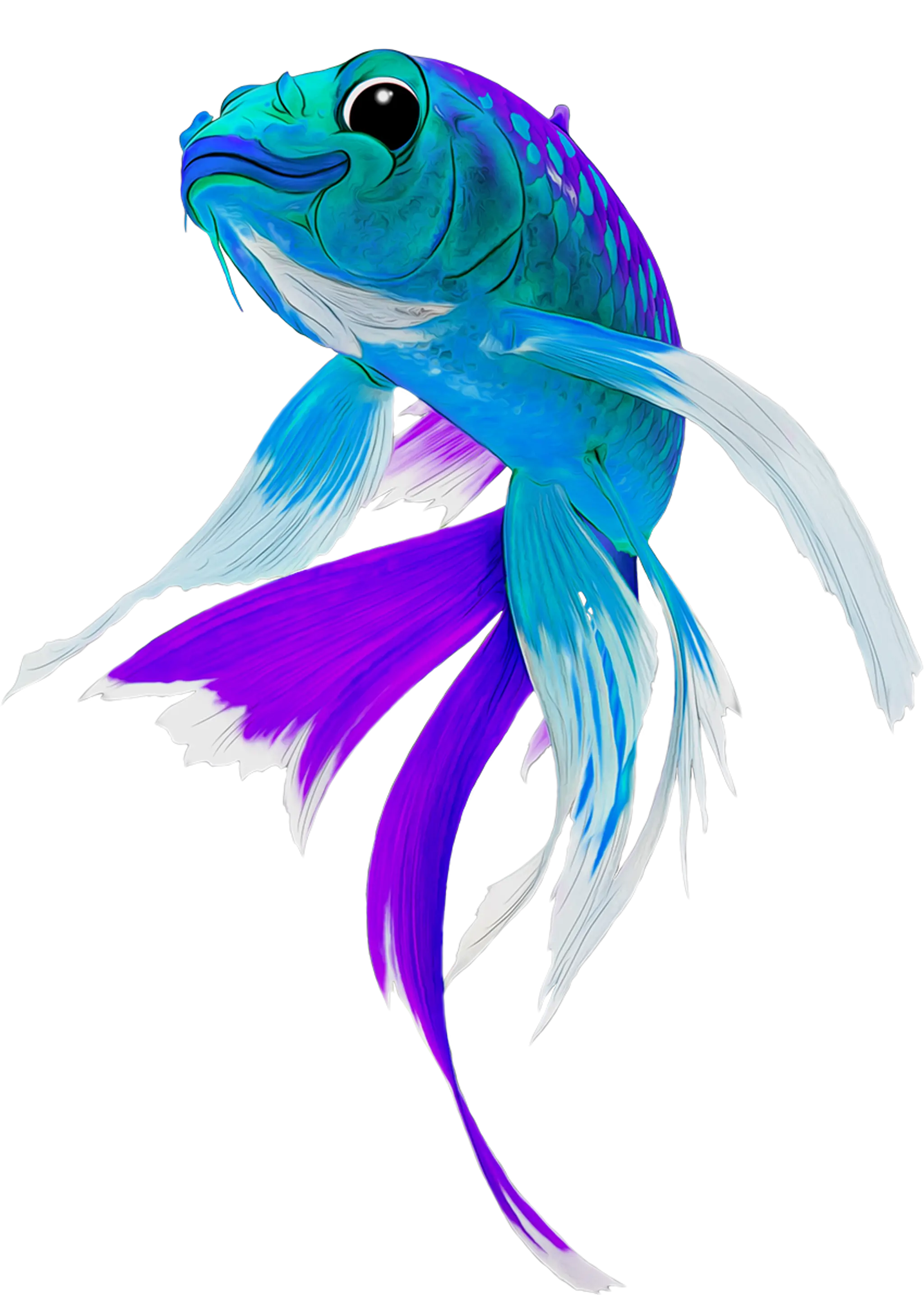Blue Fish Pilates
