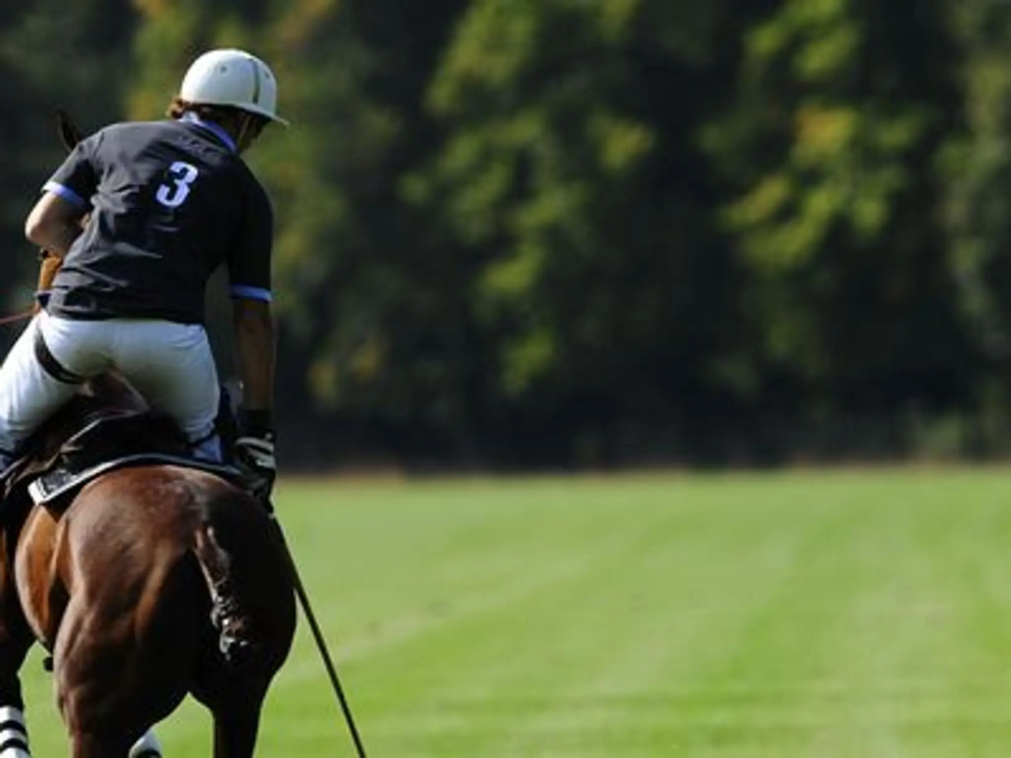 New Forest Polo Club