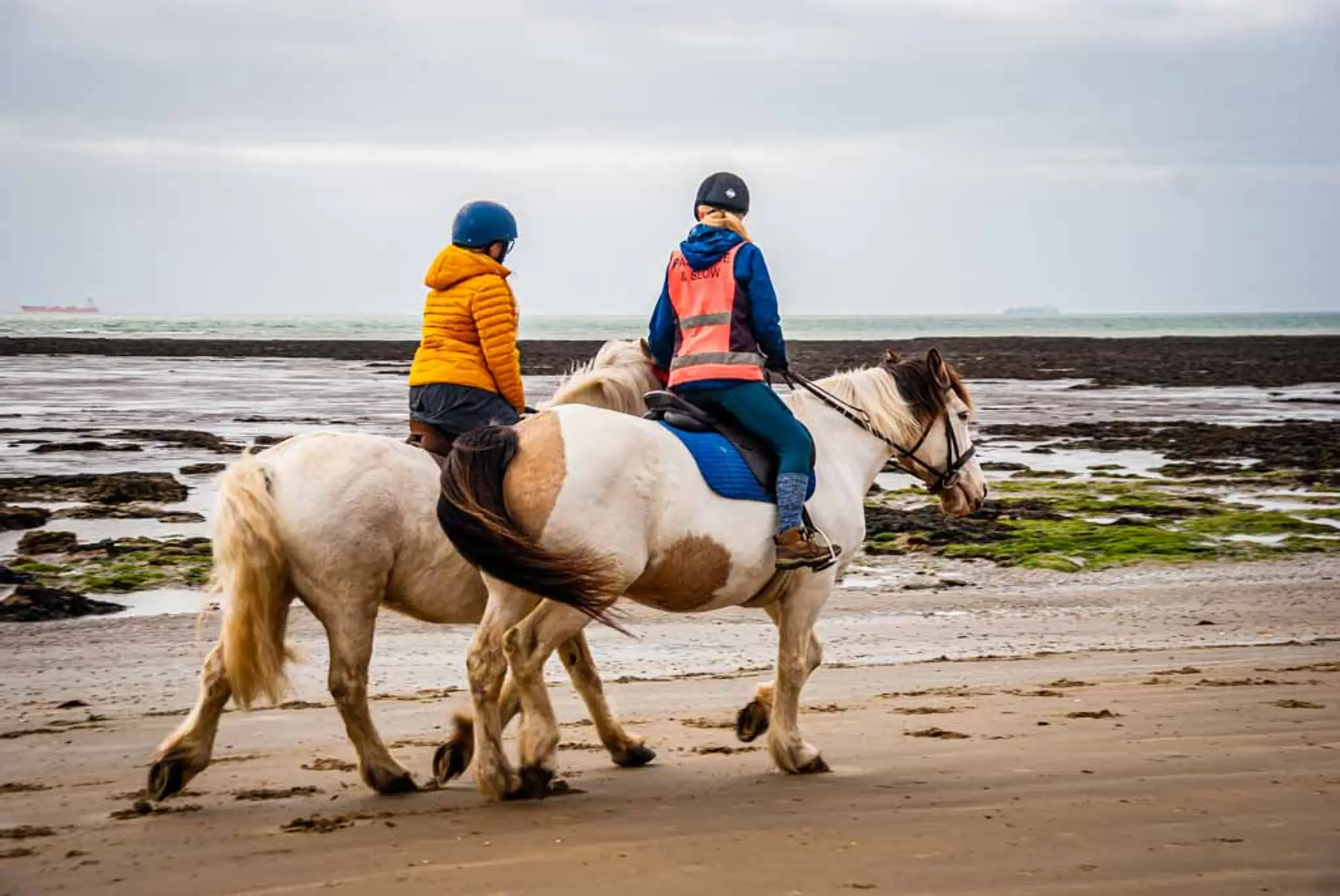 Sally's Riding School