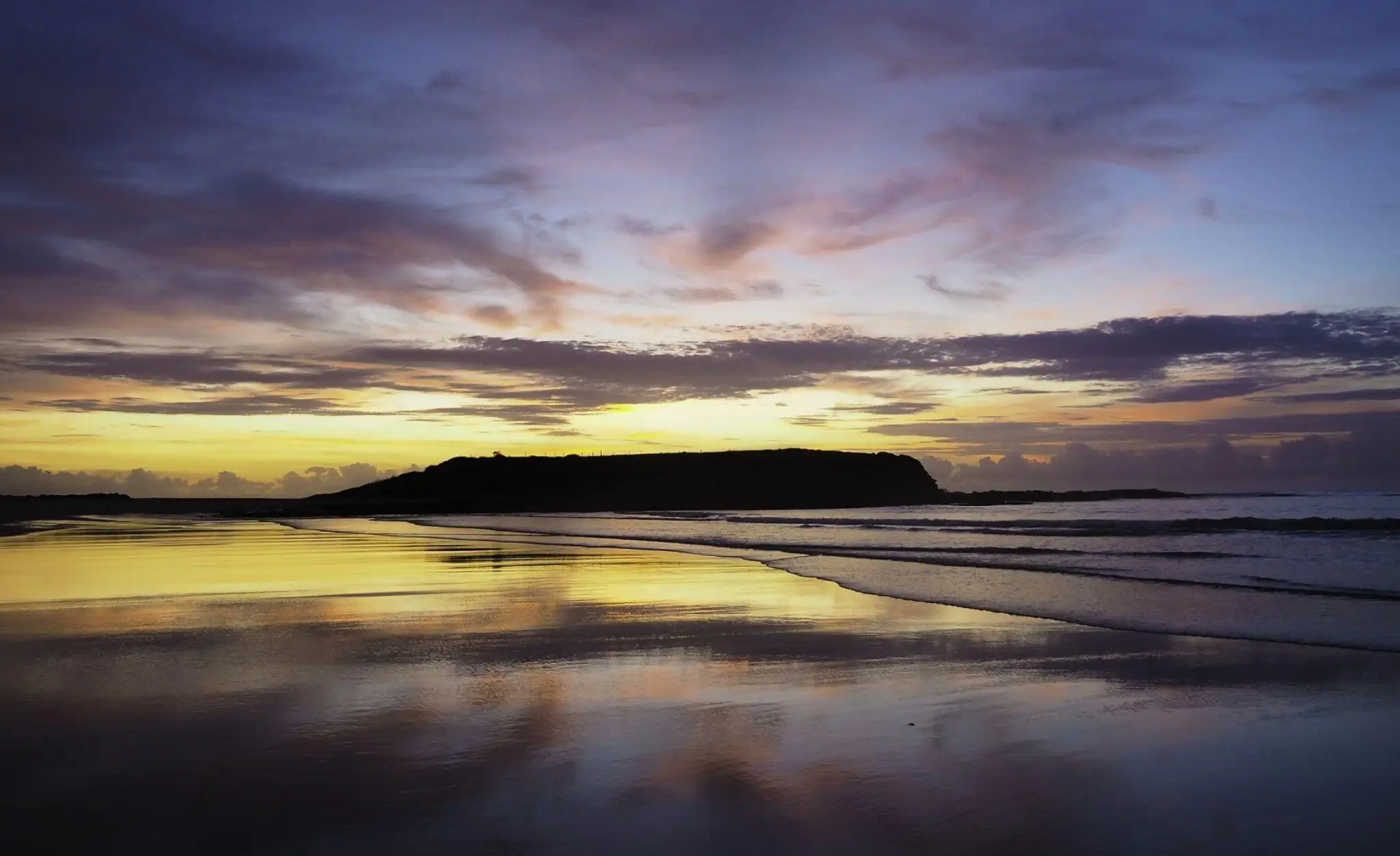 Scout Willoughby Oval