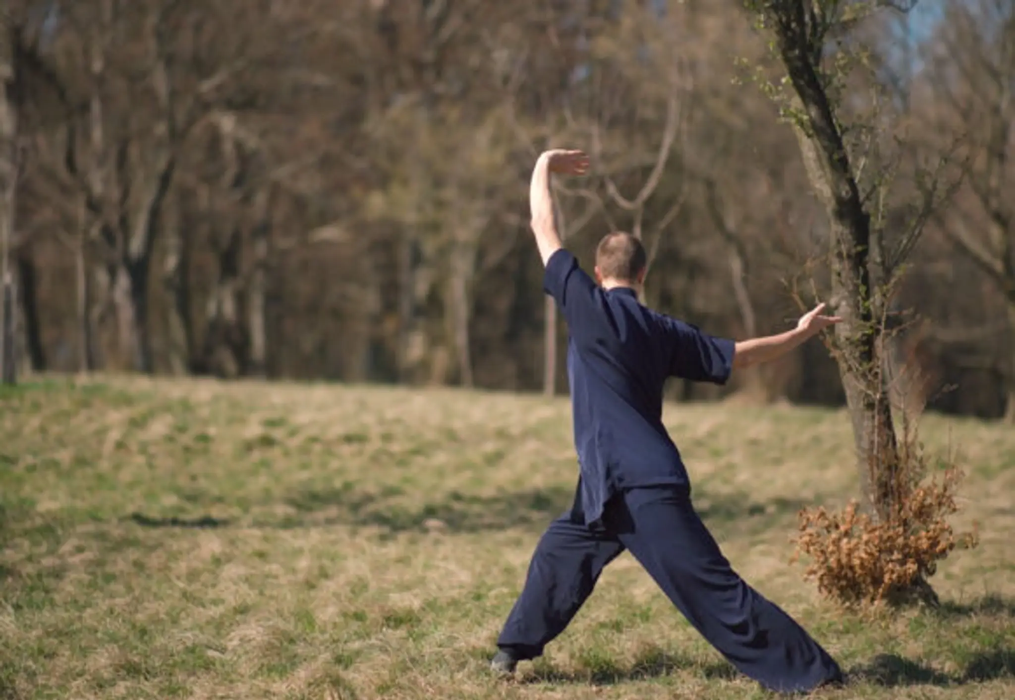 Paramita - Himalayan Qigong school
