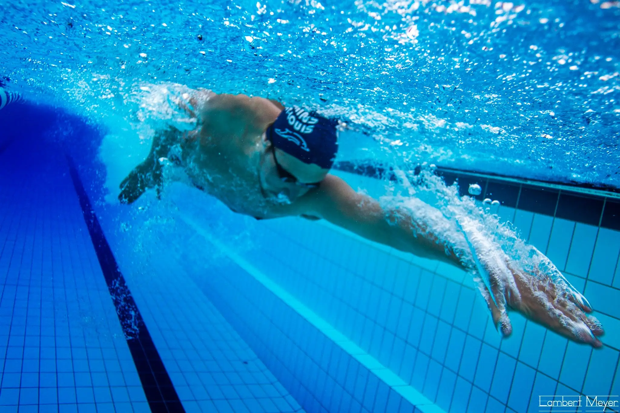 Dauphins de Saint-Louis