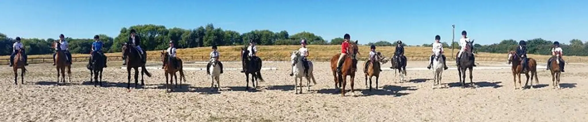 Aldborough Hall Equestrian Centre