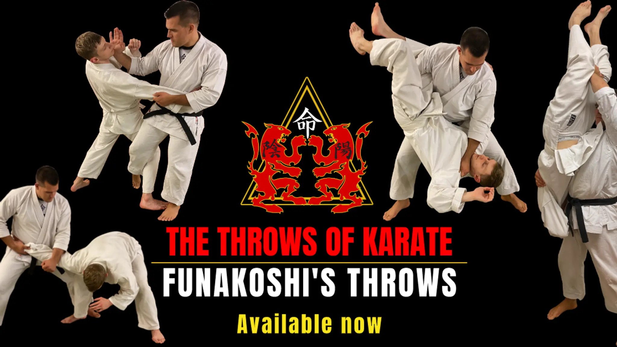 Seimeido Karate Jutsu