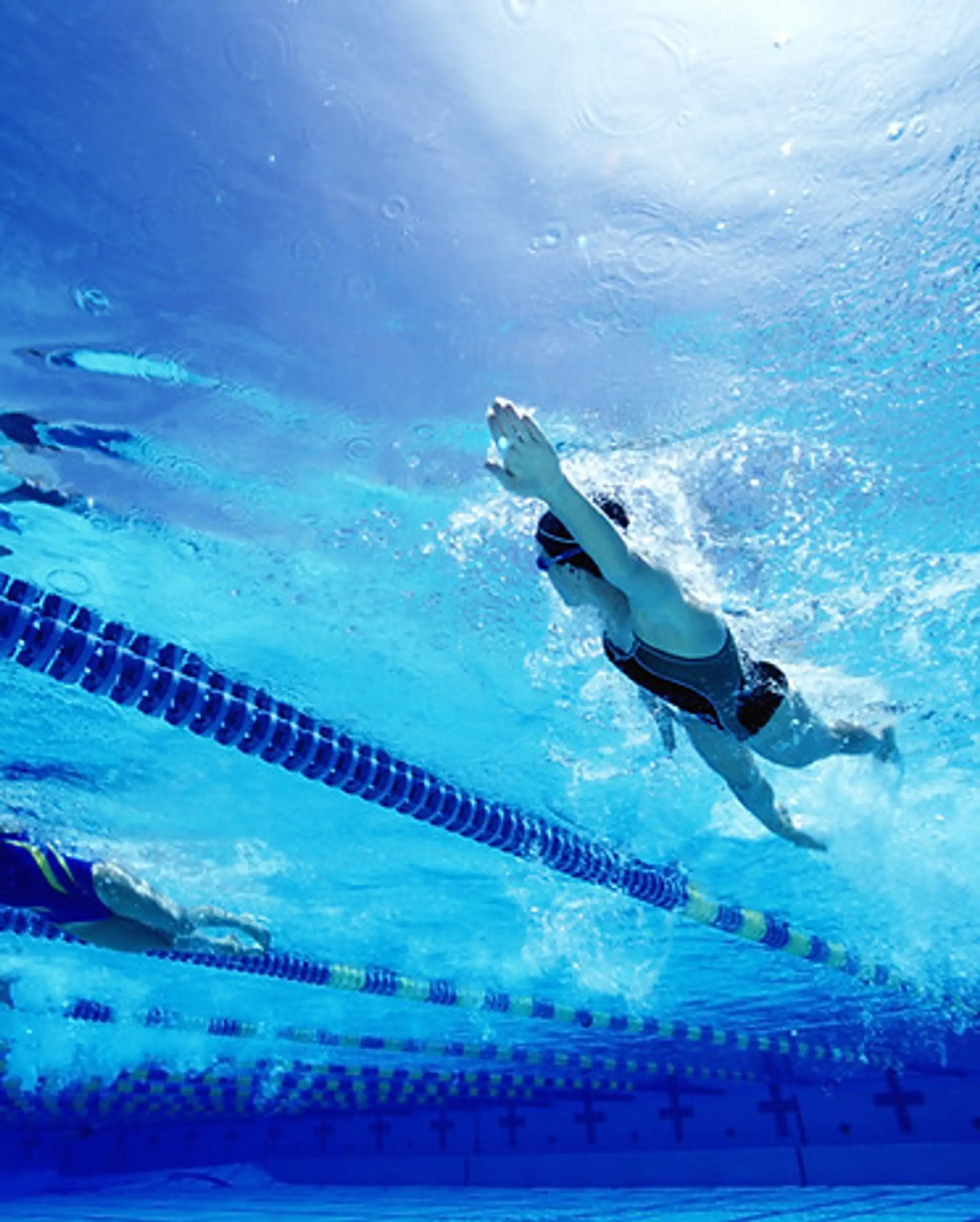 Swim with Style Swimming Lesson Franchise