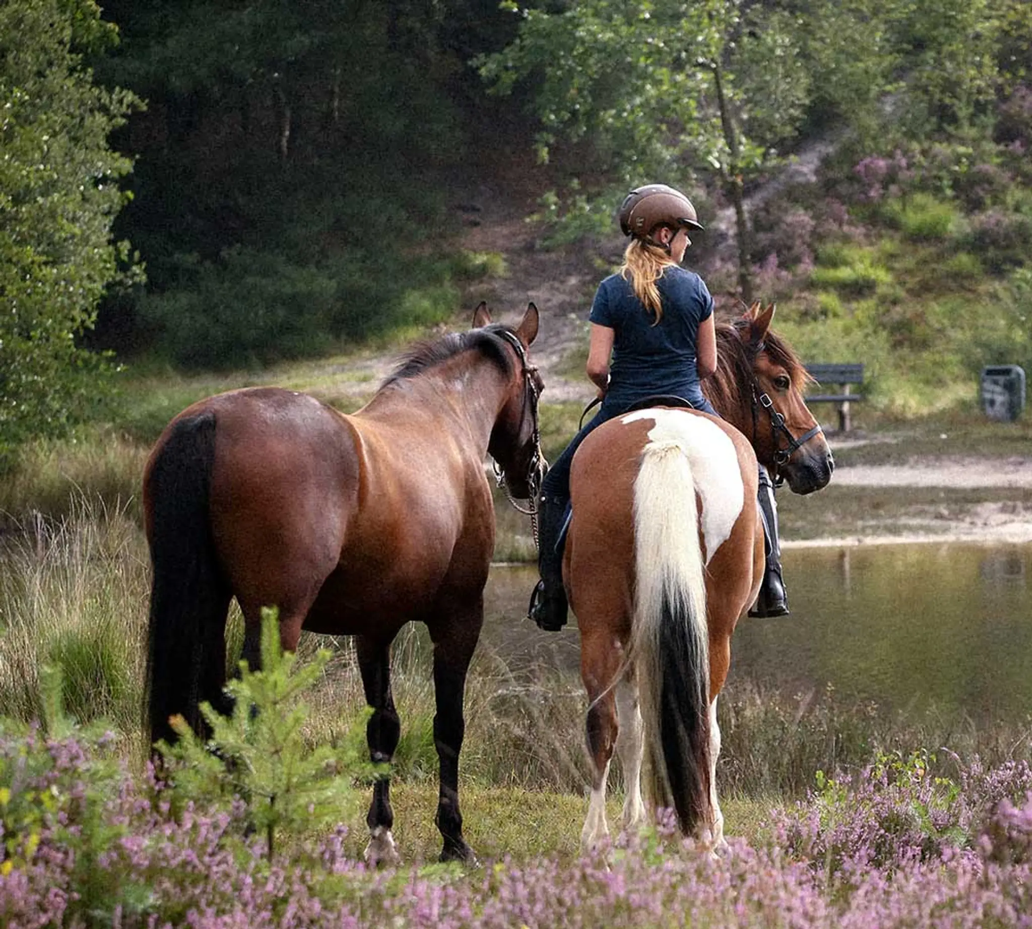 Equestrian Farm La Haute Yerle