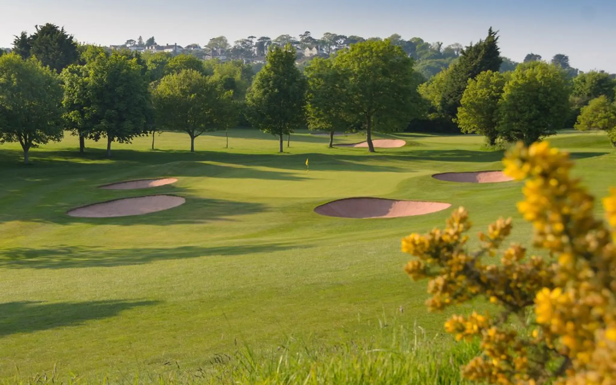 Torquay Golf Academy