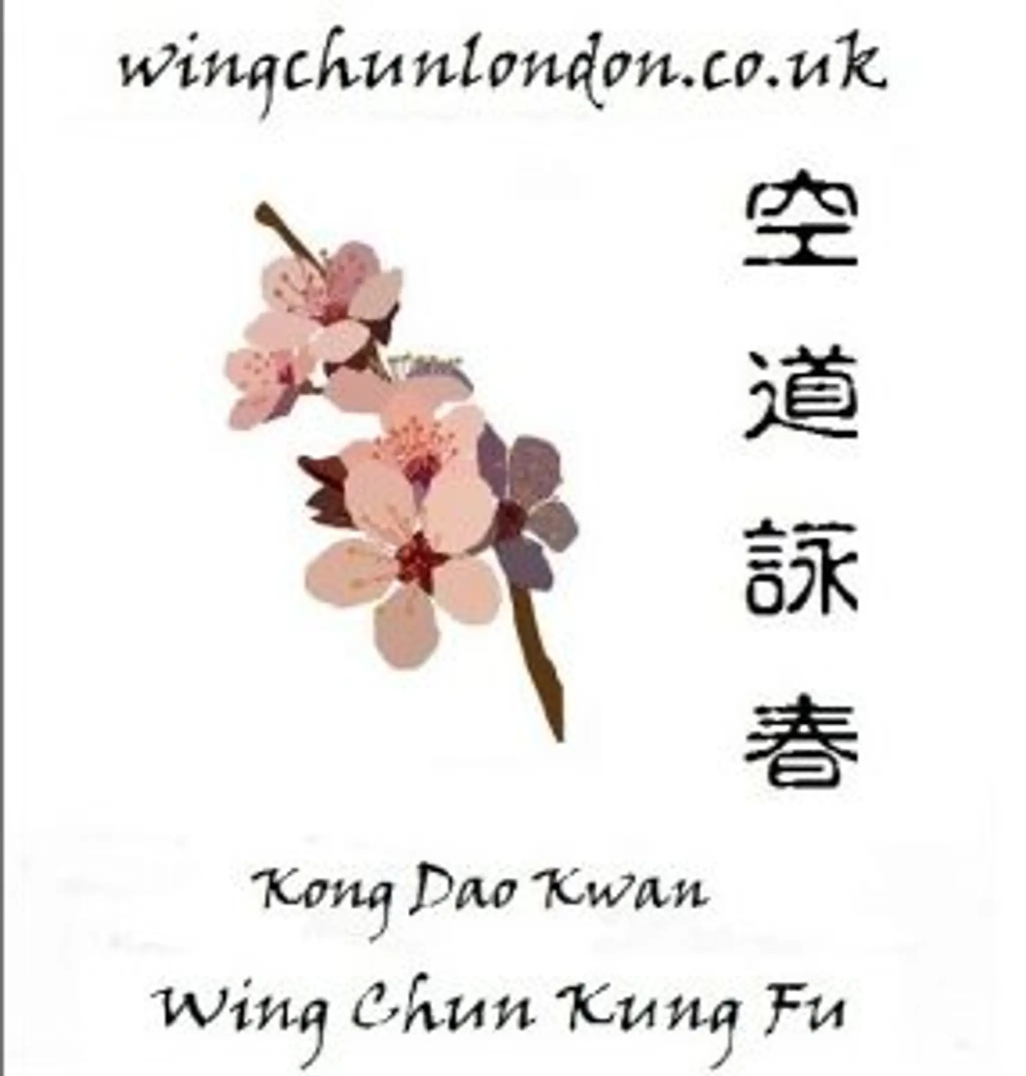 Brixton and Clapham Wing Chun Kung Fu