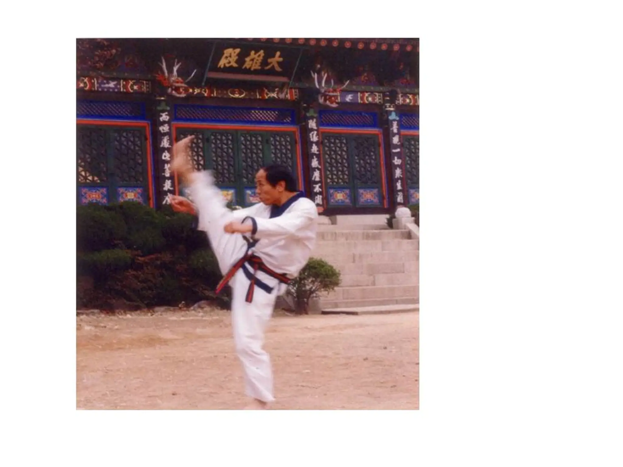 Karate Tang Soo Do Moo Rim Kwan