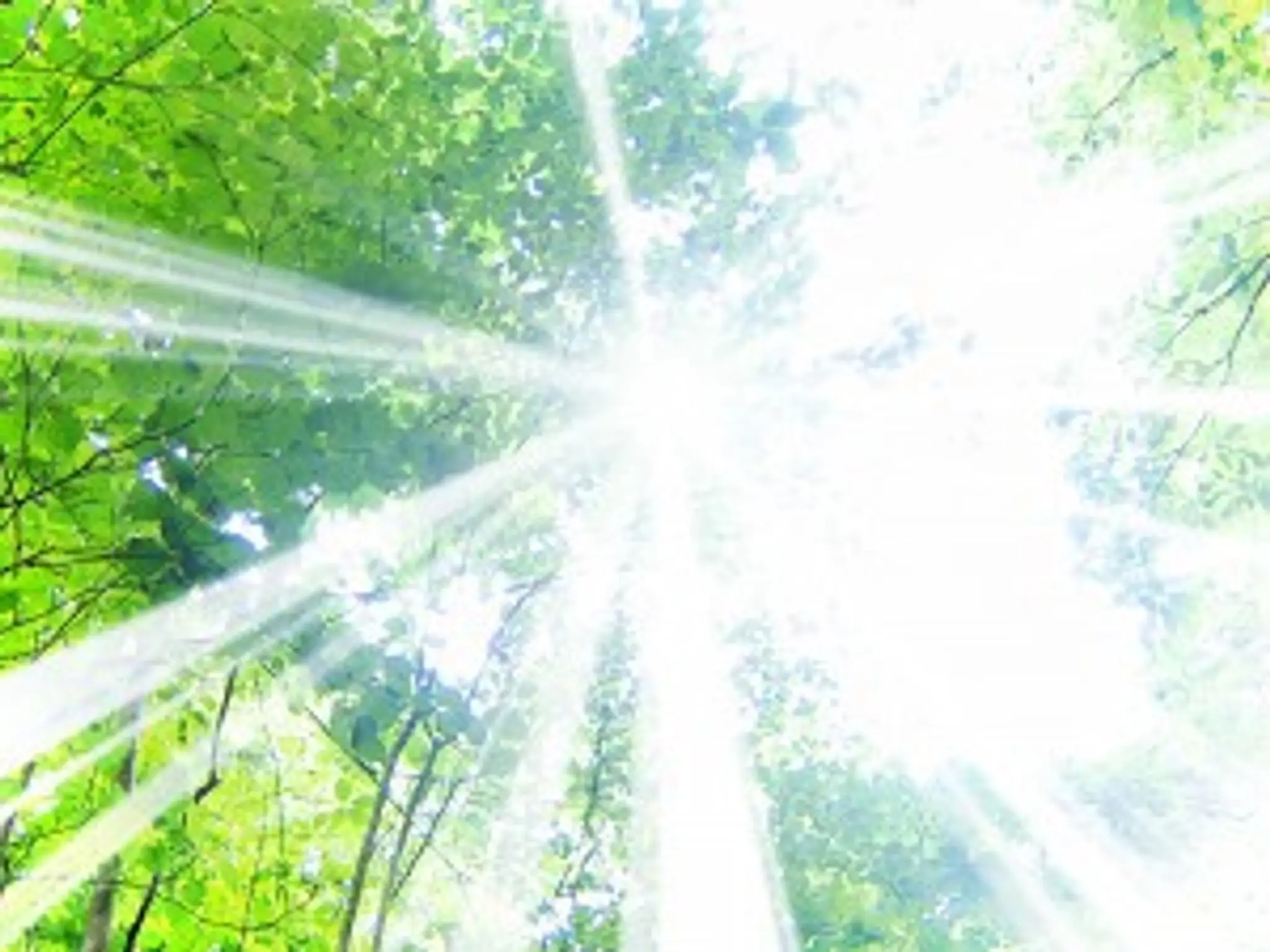 MDA West London Tai Chi (Battersea)