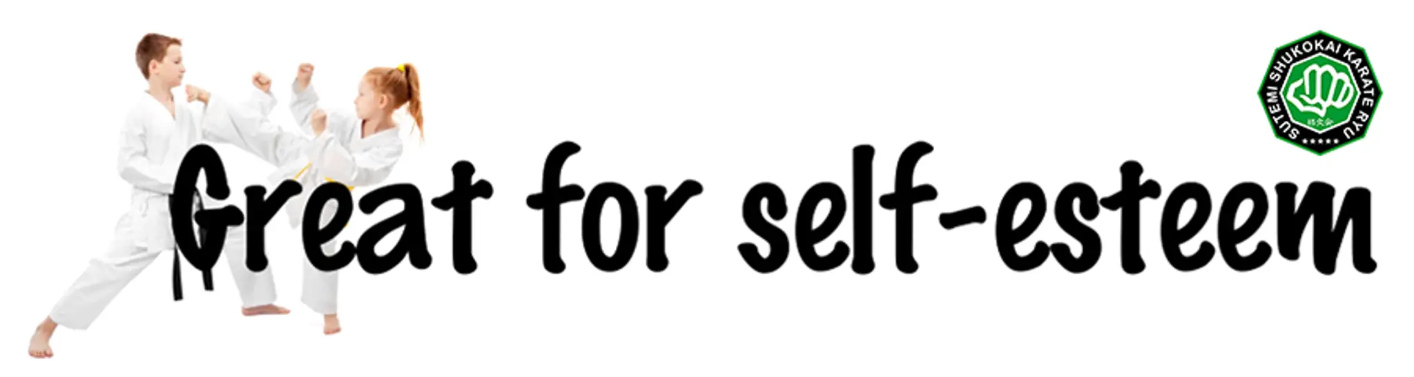 Sutemi Shukokai Karate Ryu