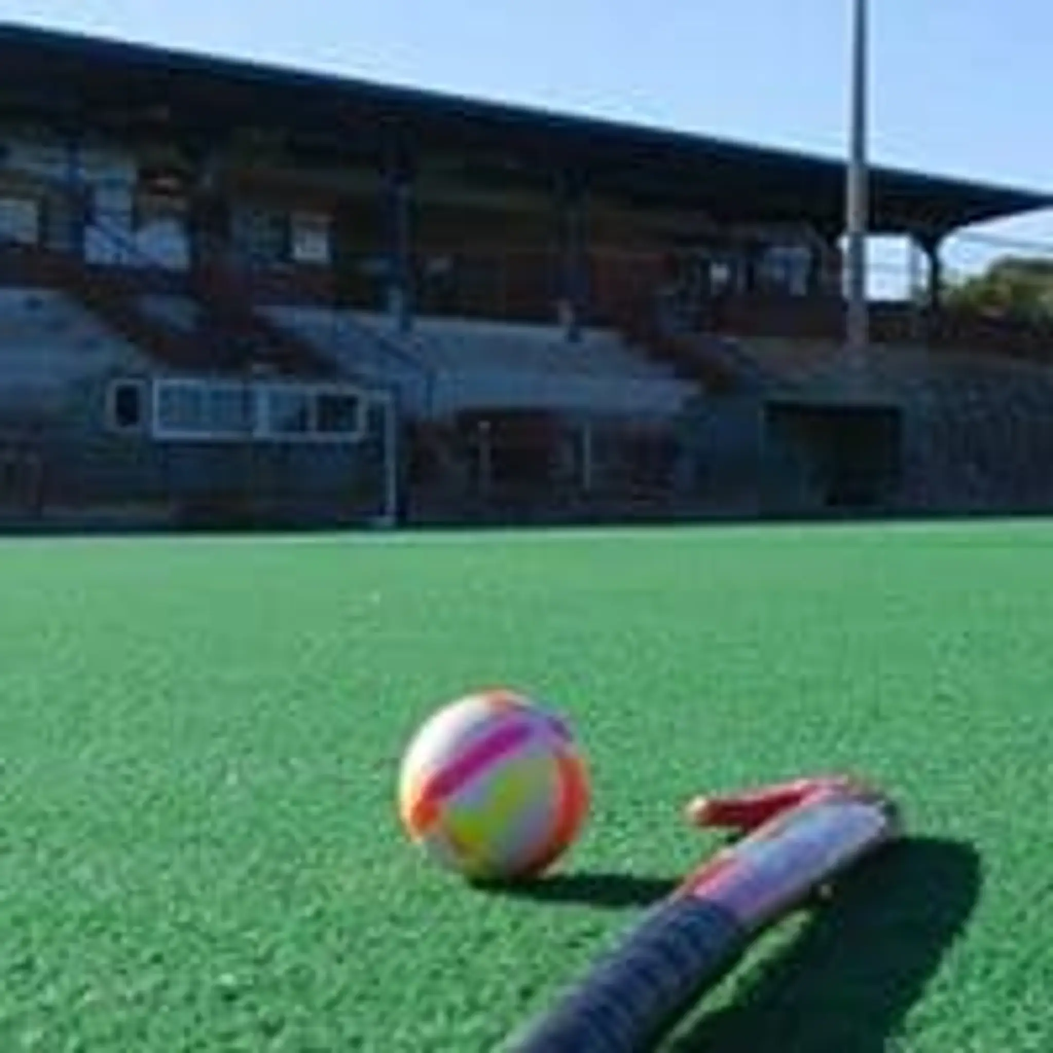 The Sporting Globe Stadium Turf