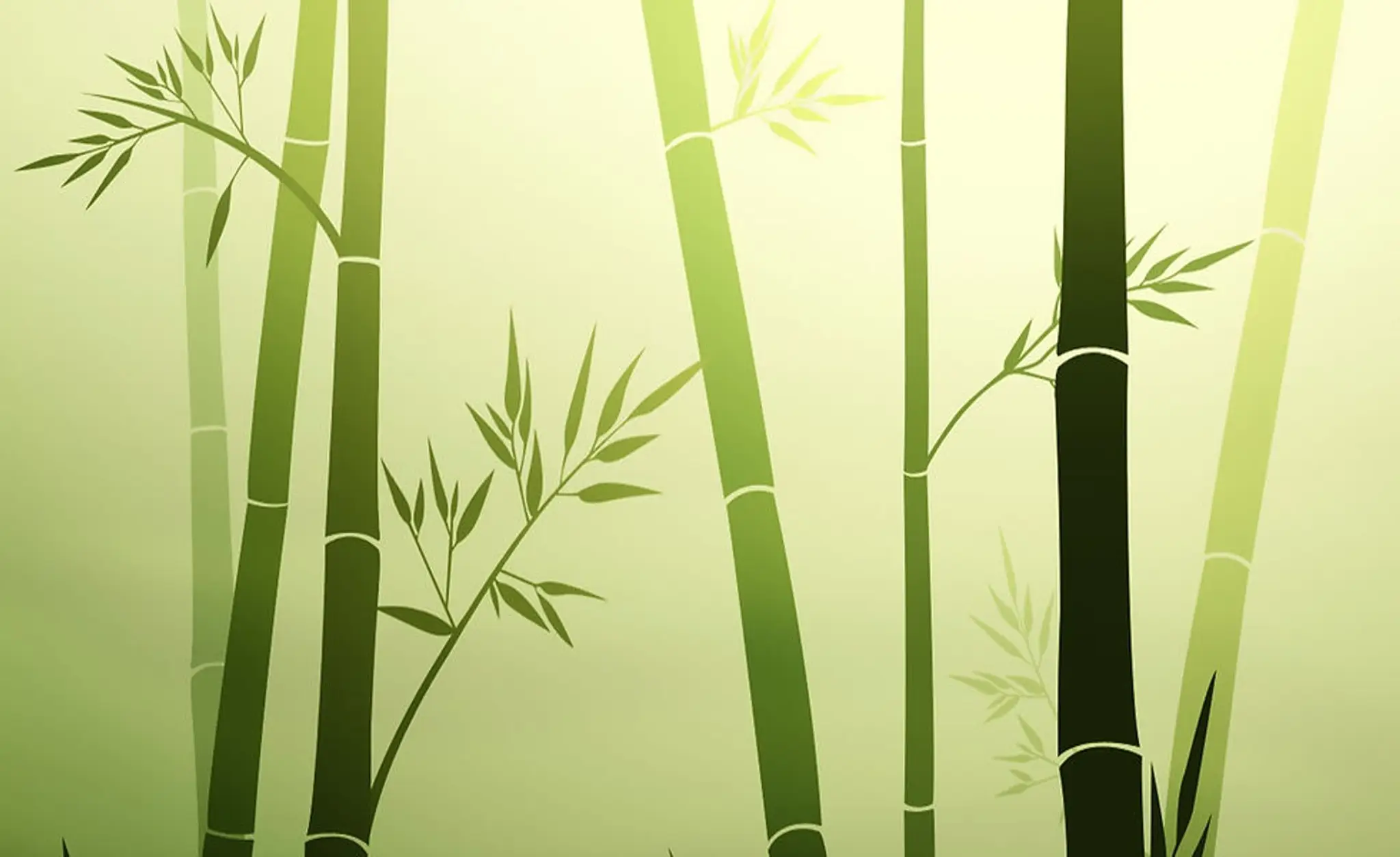 Body & Brain Healing Yoga & Tai Chi