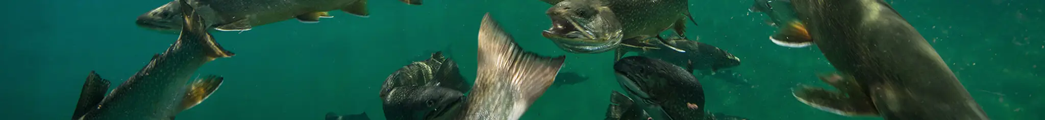 Lloydminster Fish and Game Youth Centre