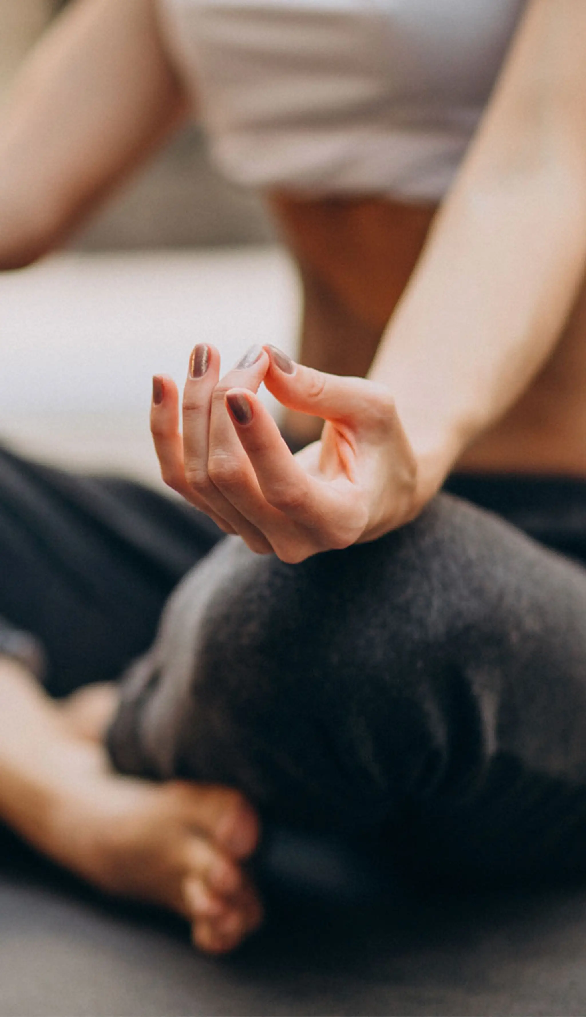 Holistically Anne Harrison