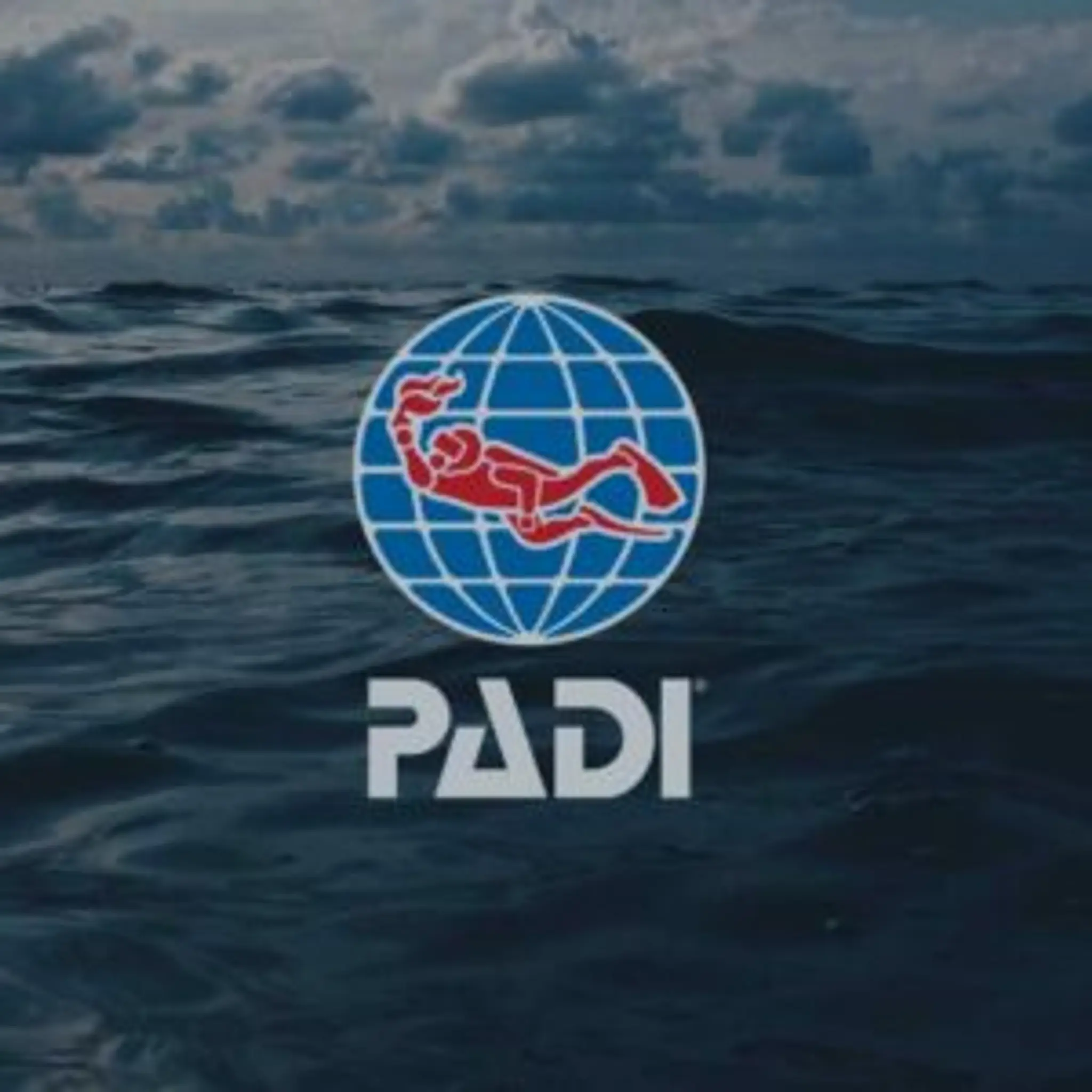 Dive Singapore Pte Ltd