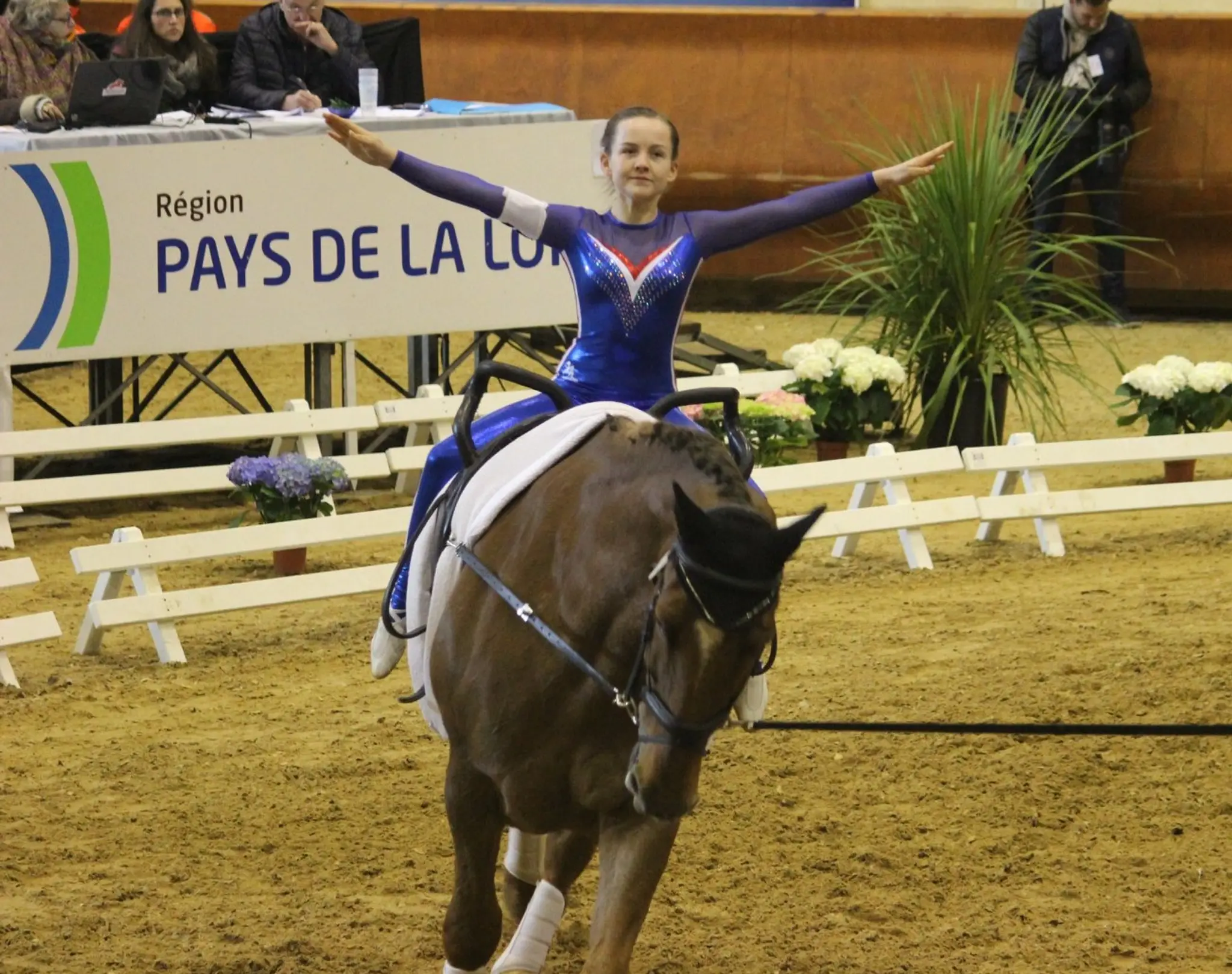 British Equestrian Vaulting
