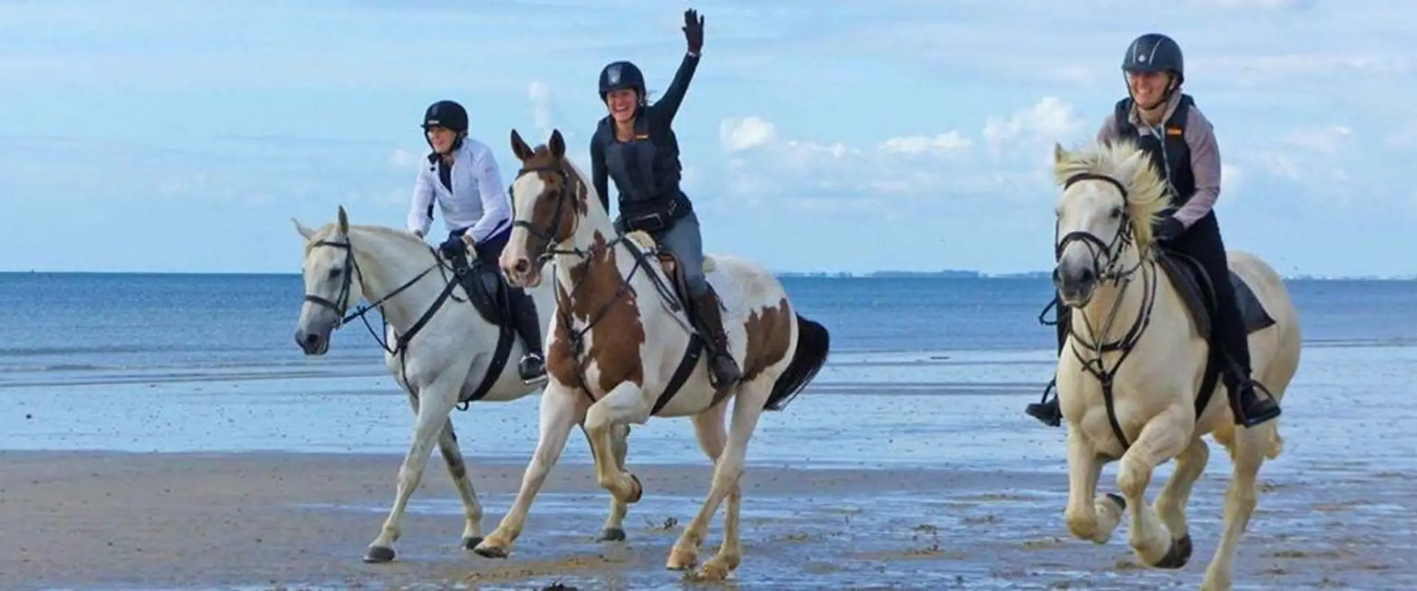 Sussex Hunter Hirelings & Sales