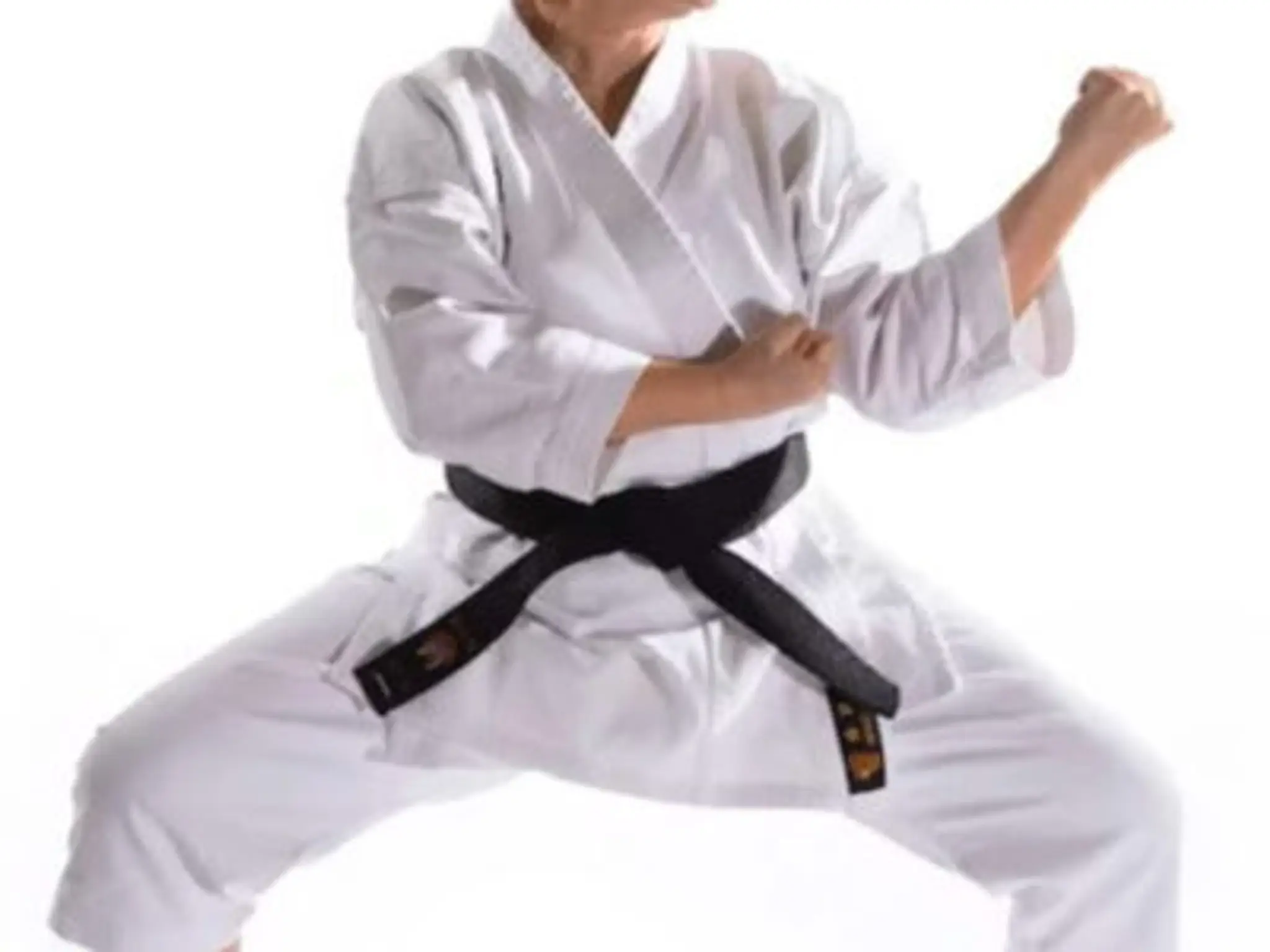 Kaishi Karate School