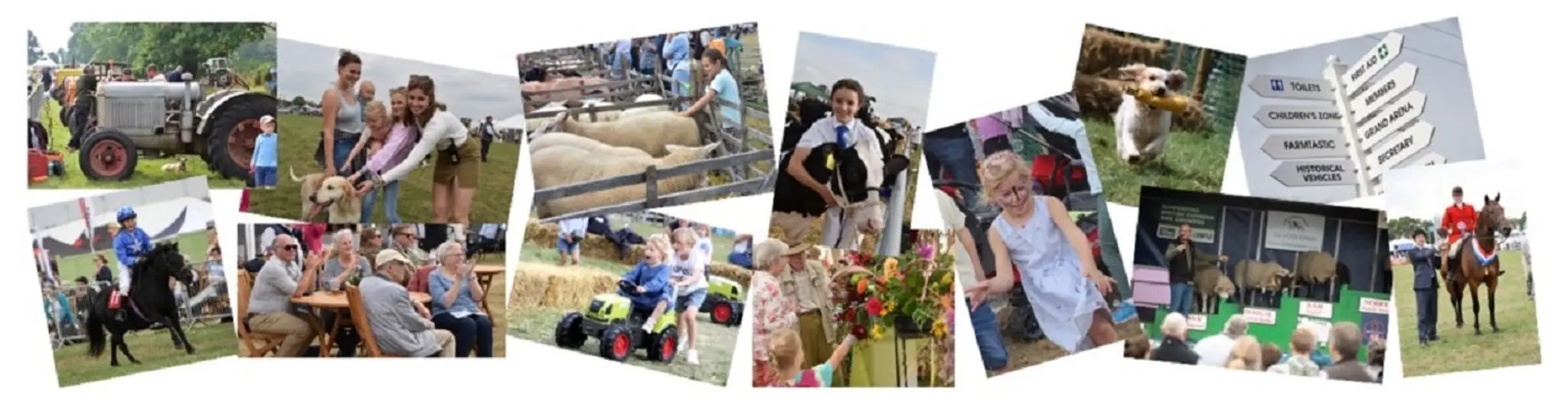 Moreton-in-Marsh Show - Showground