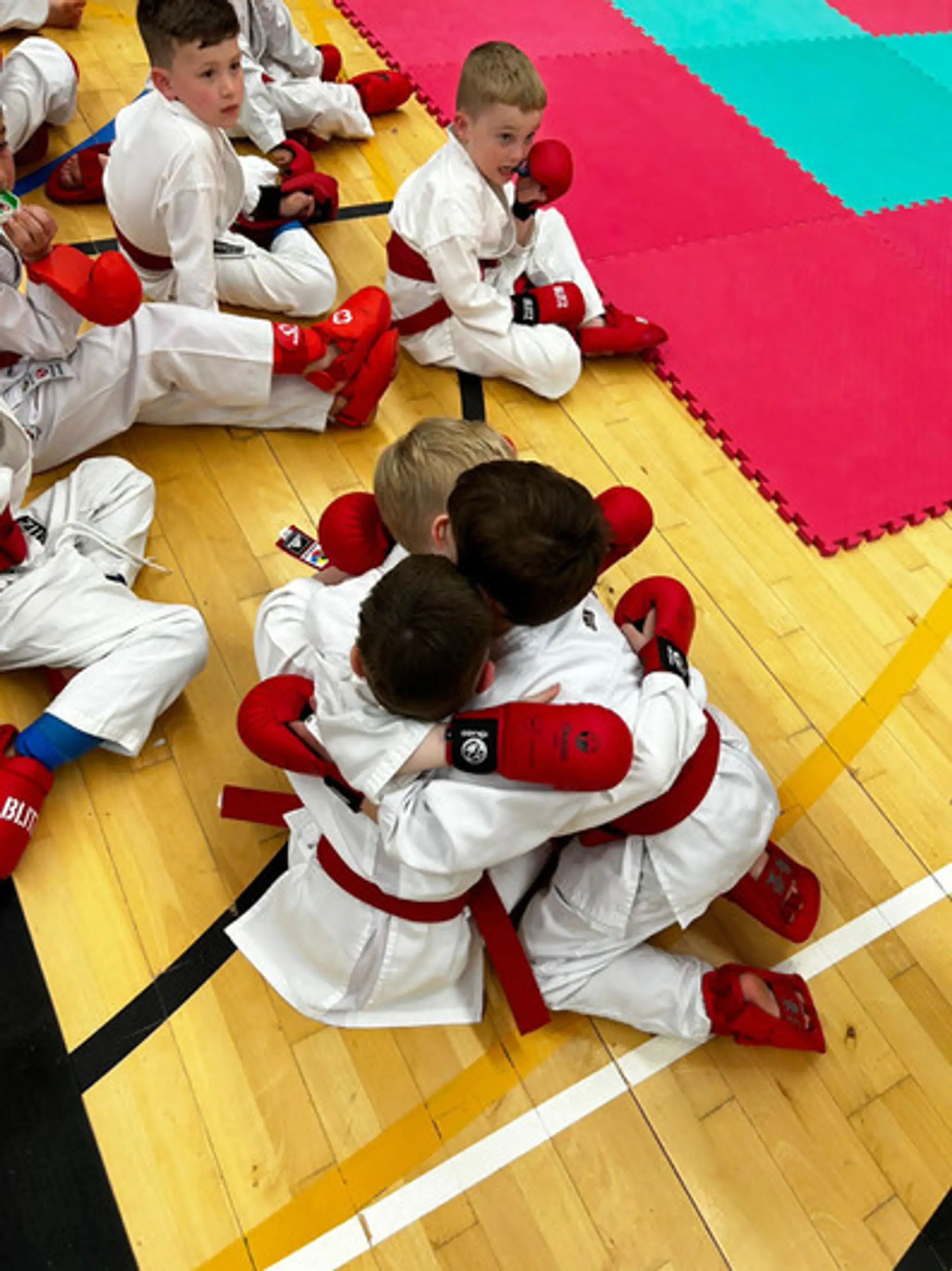 Little Lions Karate Club