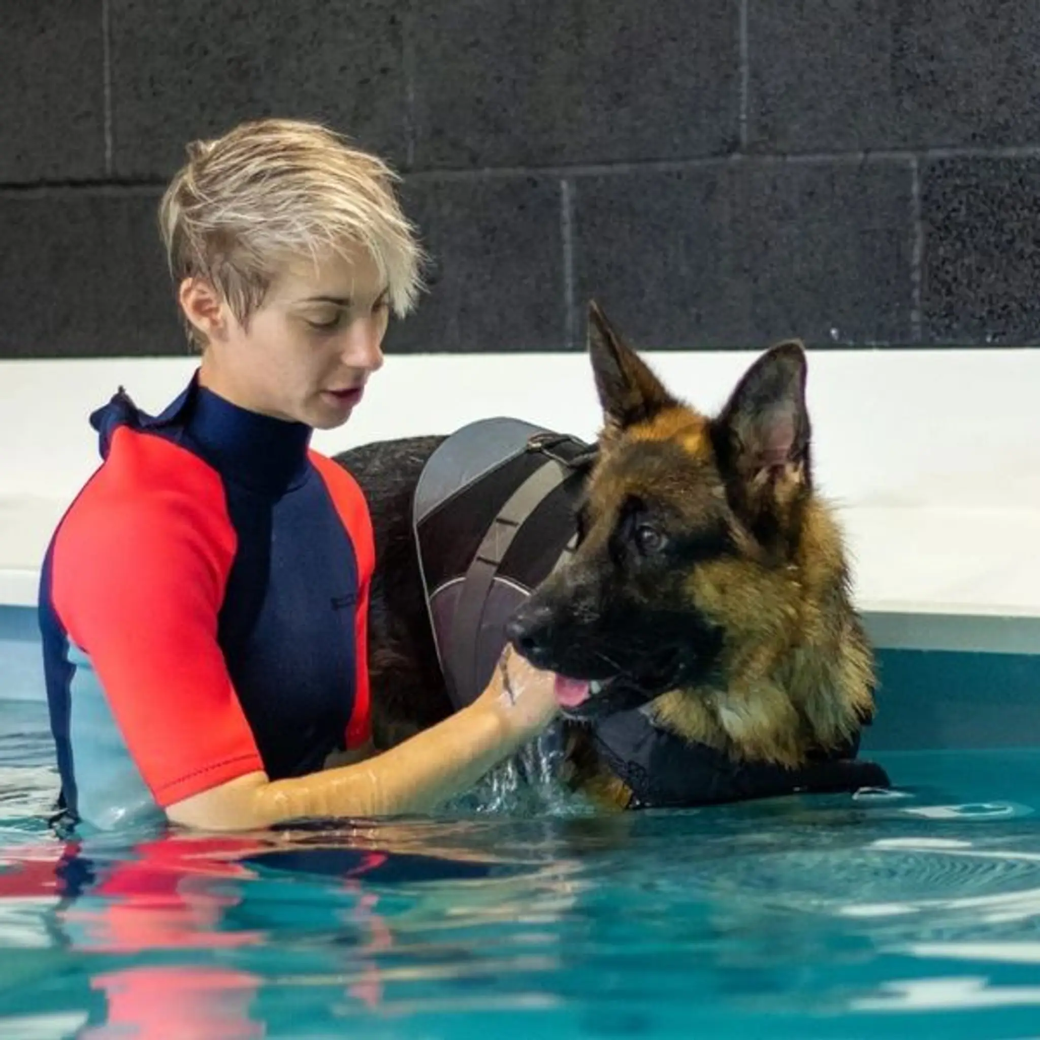 Voodoo K9 Hydrotherapy