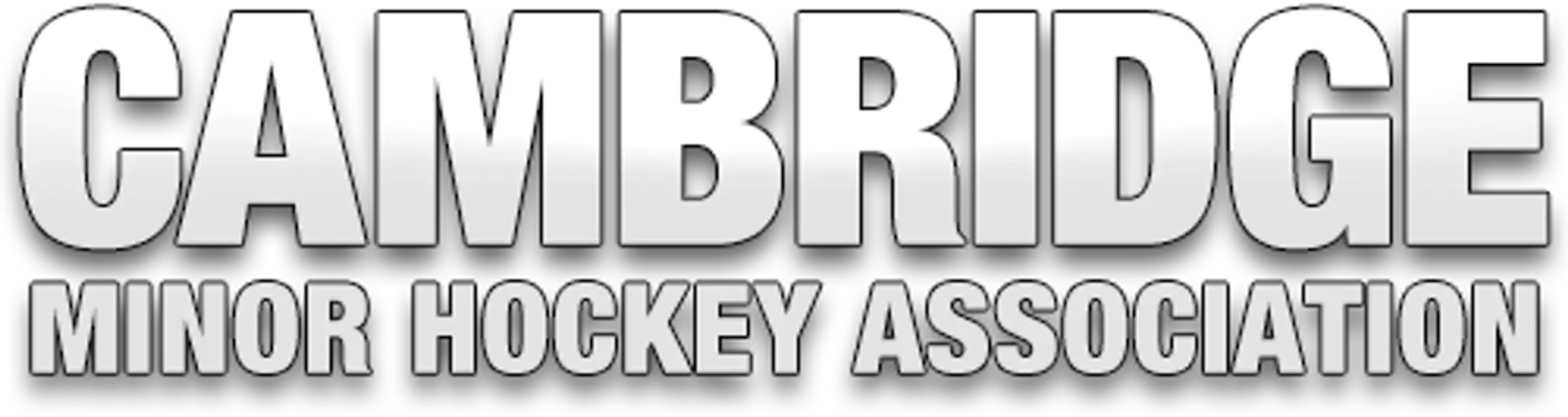 Galt Minor Hockey School