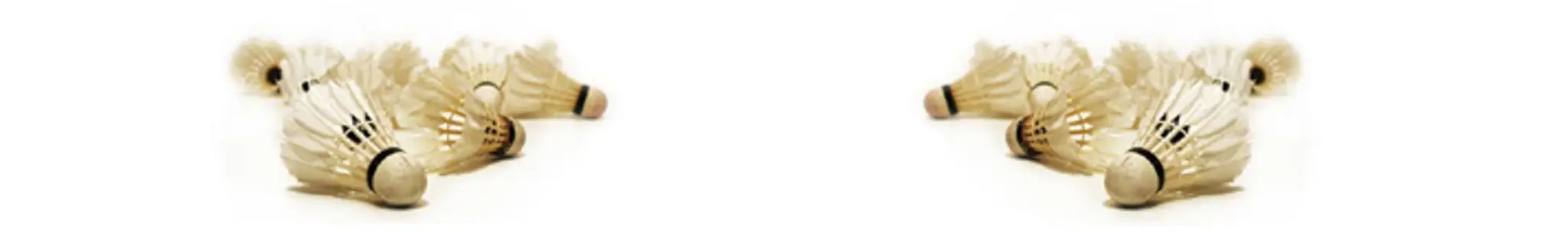 Ramblers Badminton Club