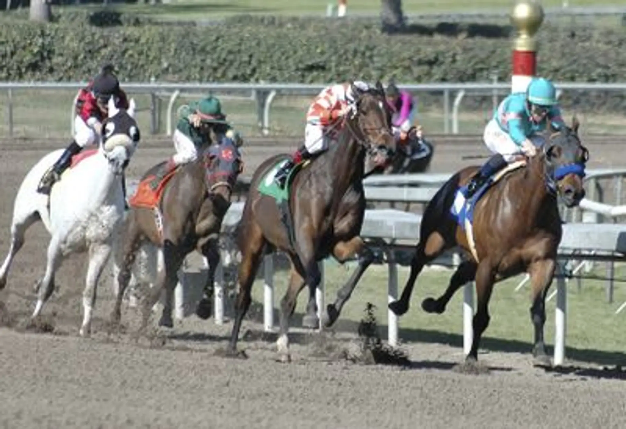 Kempston Park Indoor Bowls Club