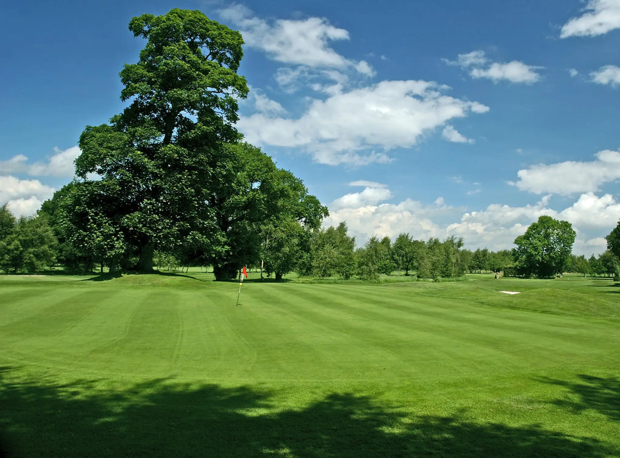 Forest Park Golf Club