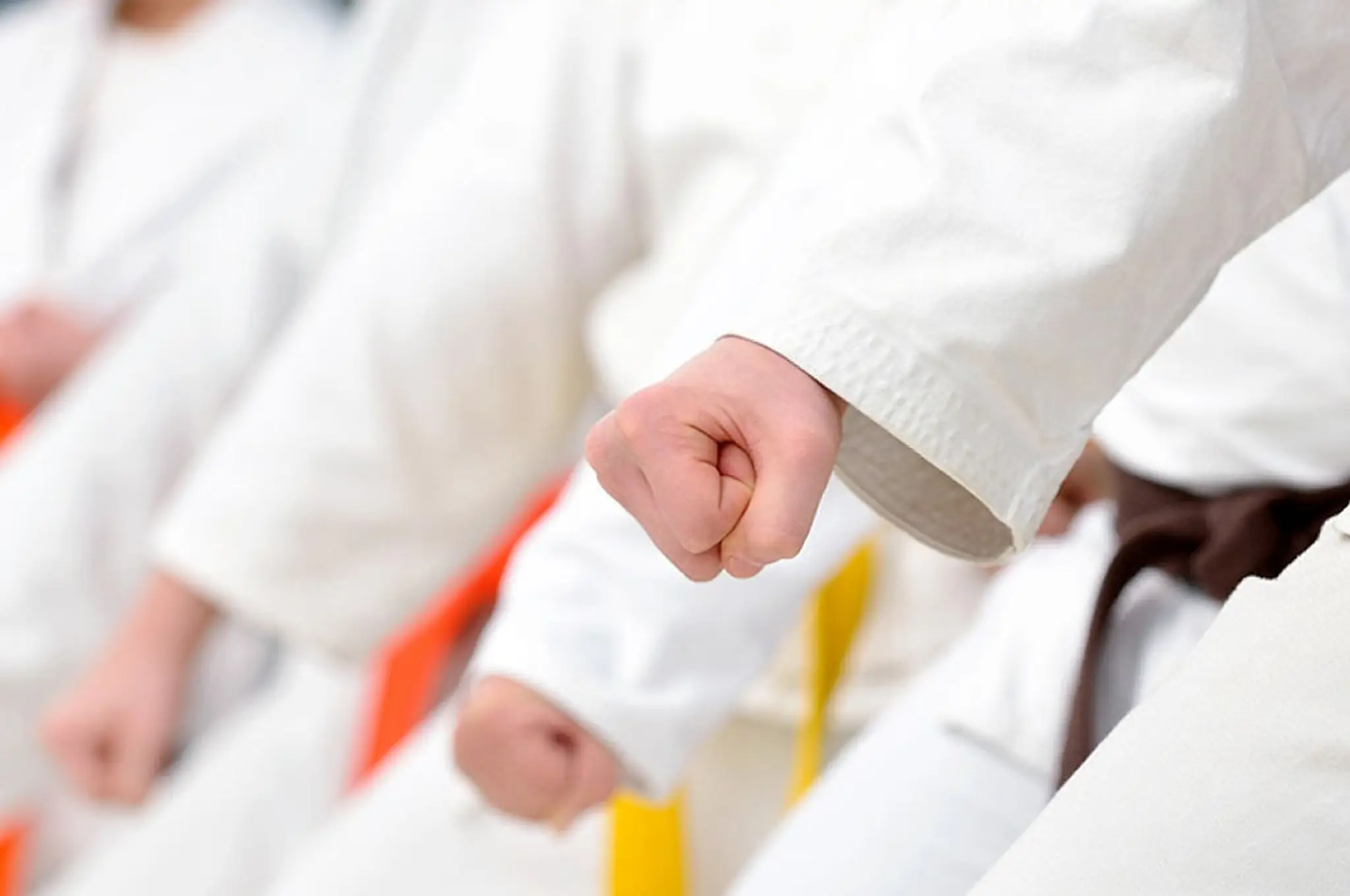 Matsuri Dojo Highams Park